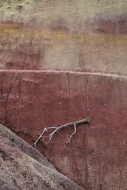 Simple Red- Painted Hills, OR