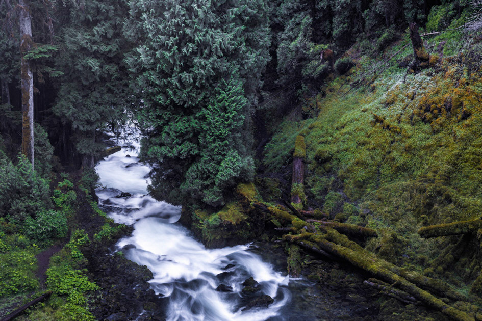 Pacific Northwest Waters- McKenzie River, OR