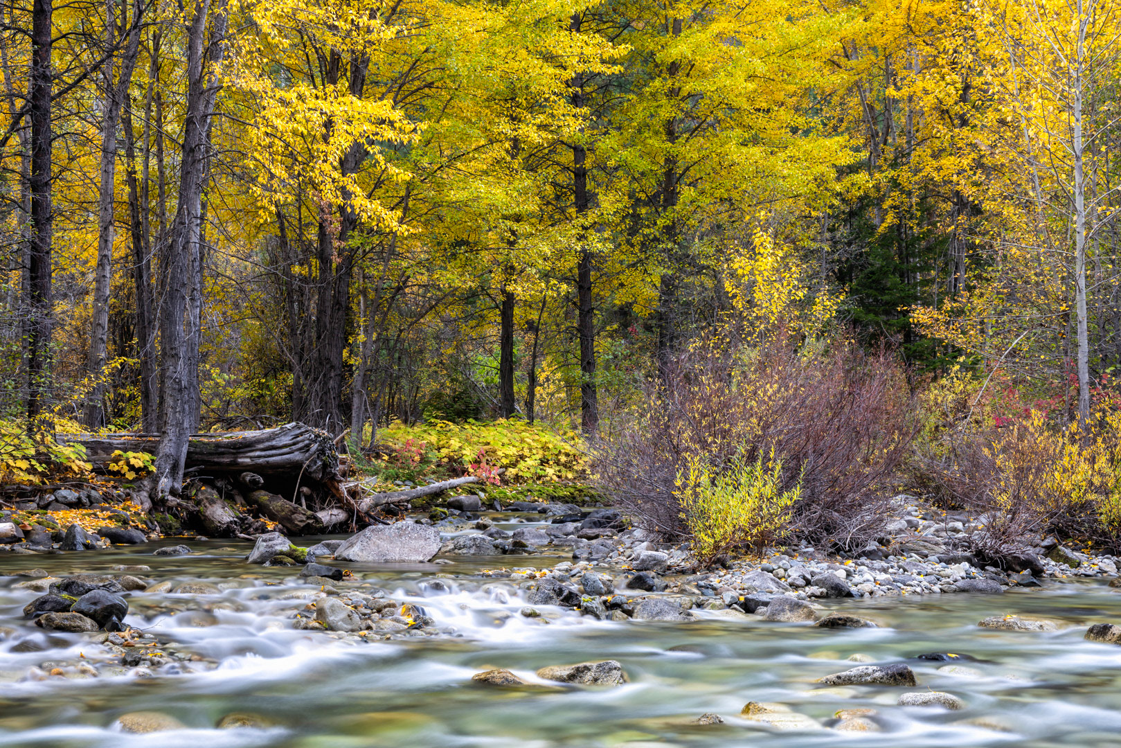 Creekside in Autumn - Leavenworth,  WA