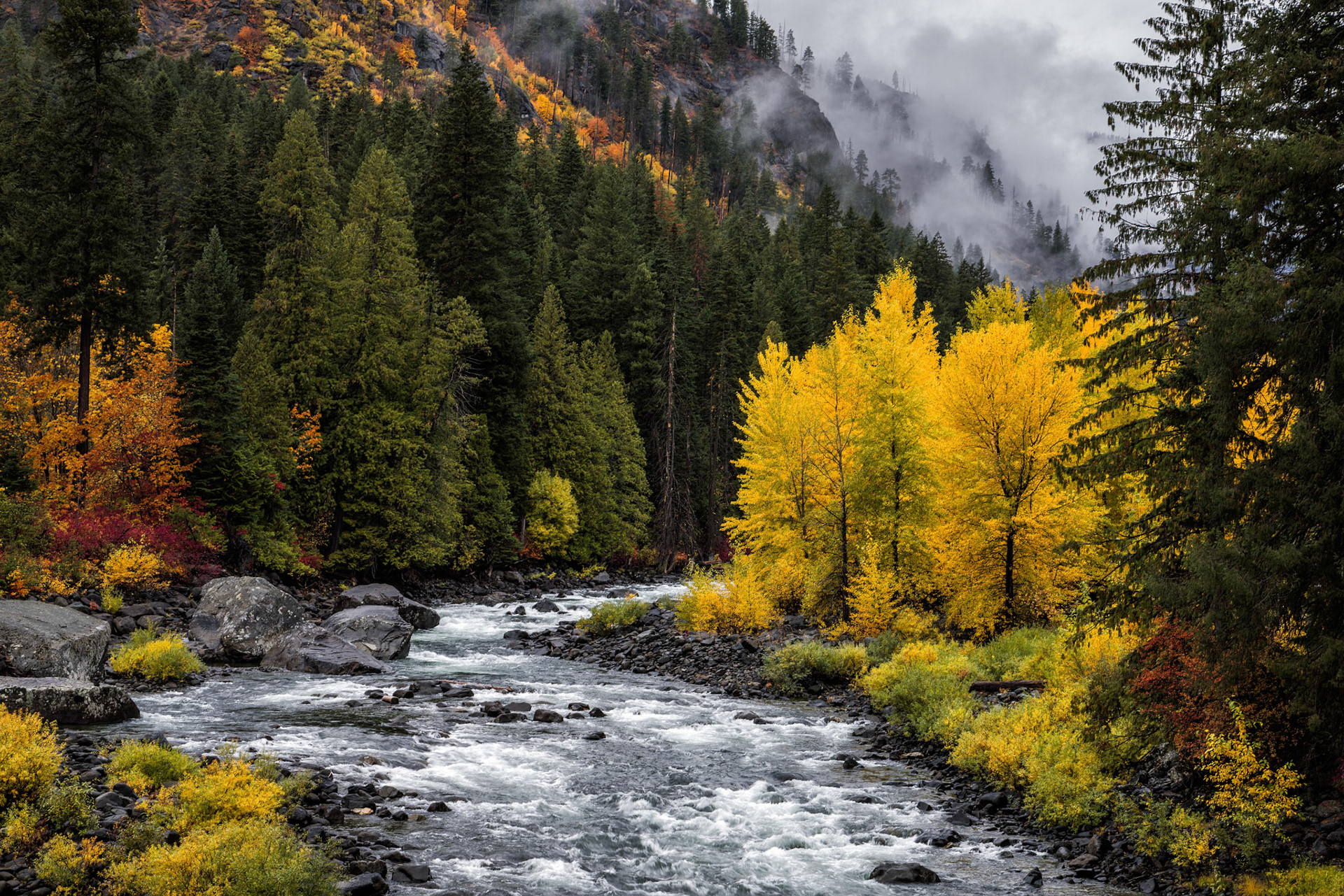 Autumn's Glory- Tumwater Canyon, WA