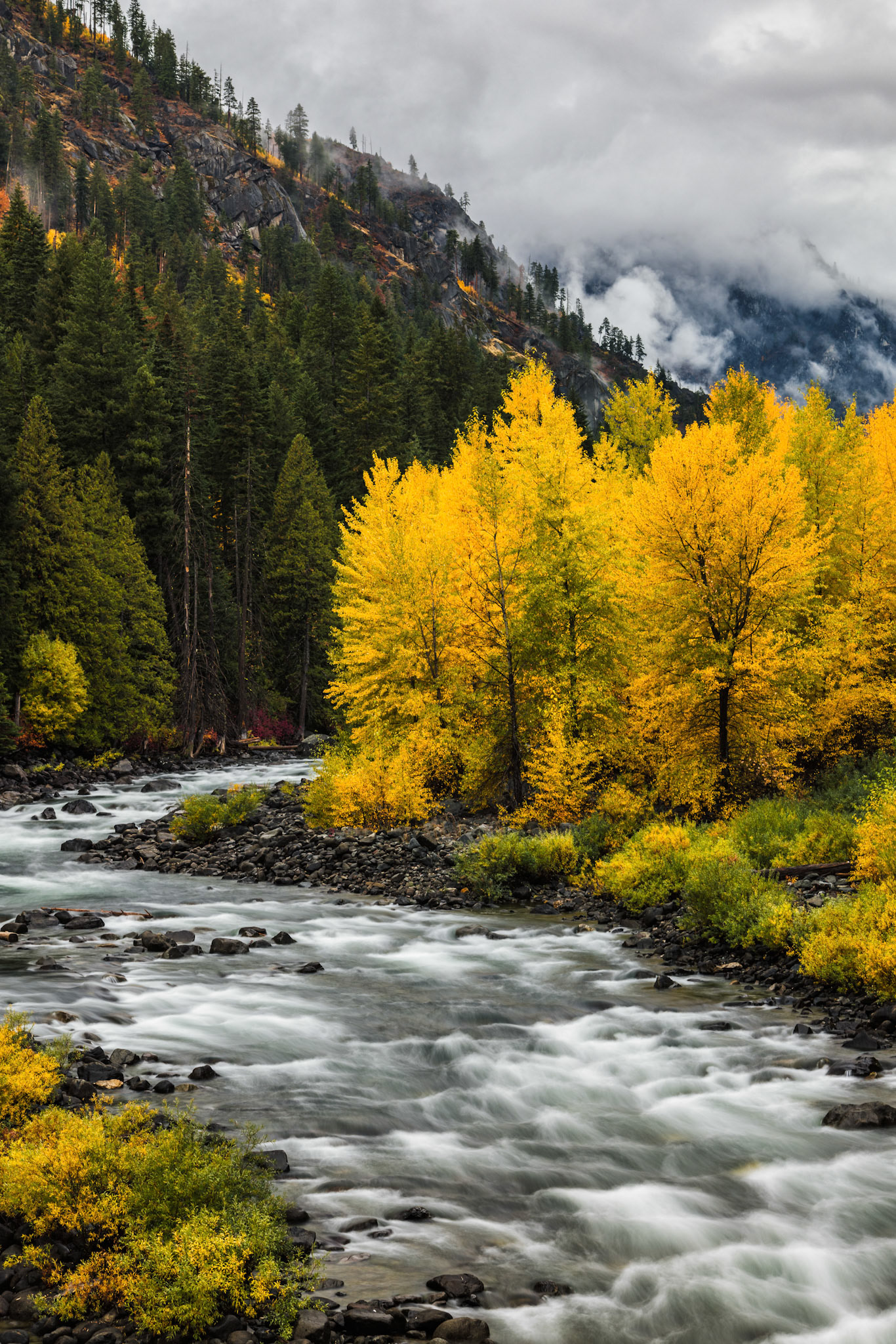 Riverside Autumn- Tumwater Canyon, WA