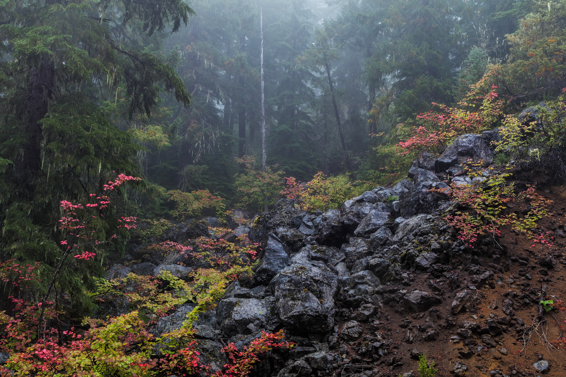 Tumbled- Three Sisters Wilderness, OR