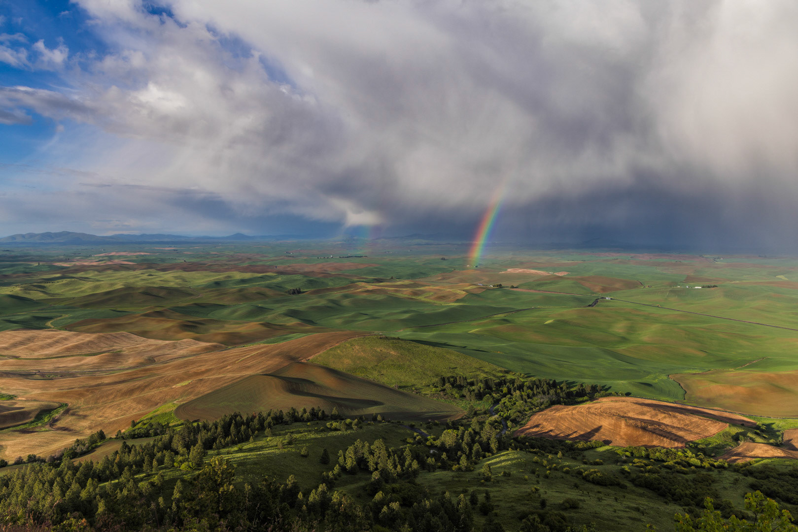 Vibrant Storm - Steptoe Butte State Park, WA