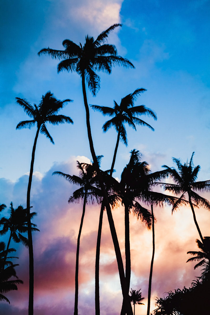 Tropical Sunset