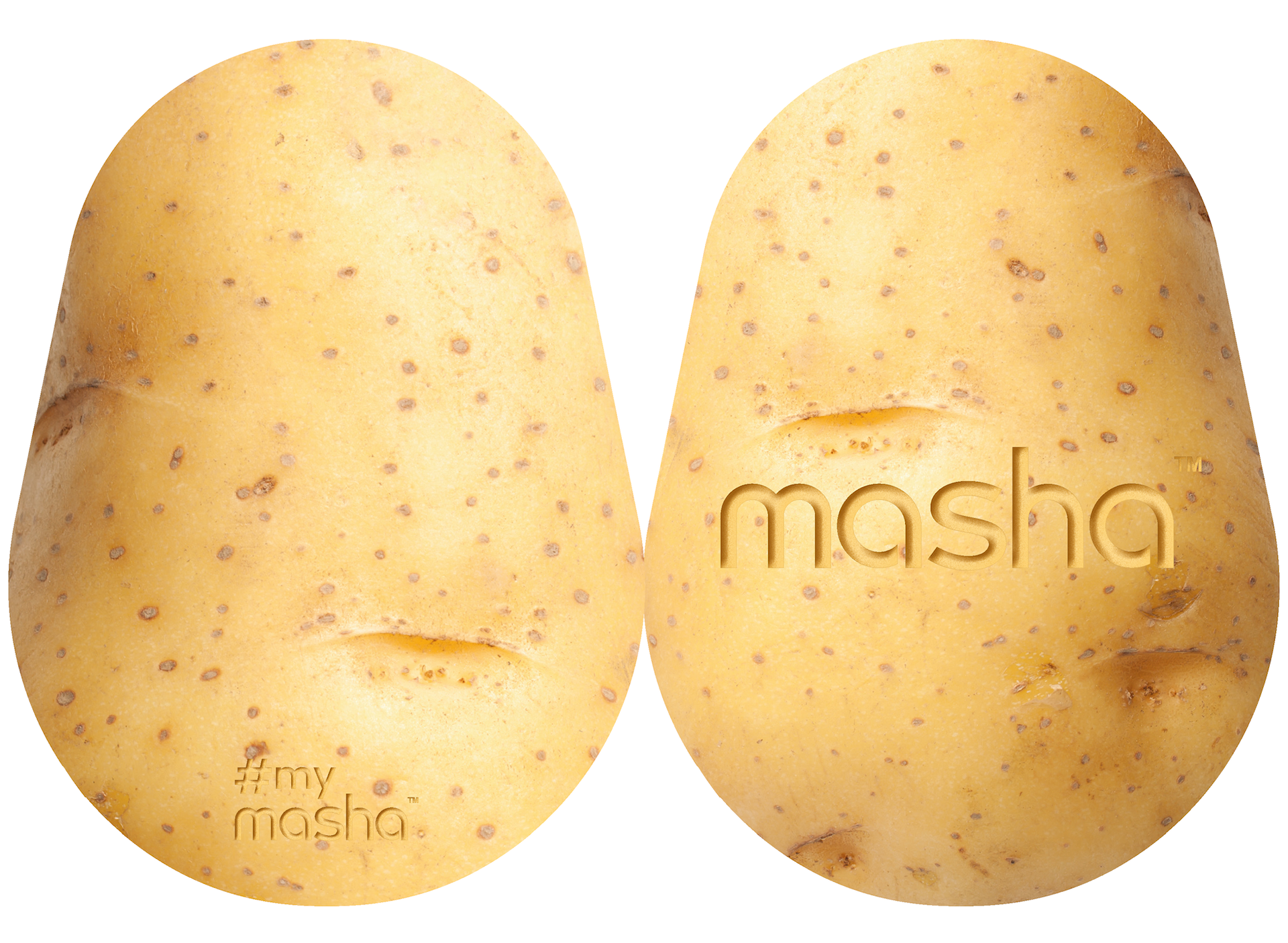 Exclusive #mymasha comp card outside view