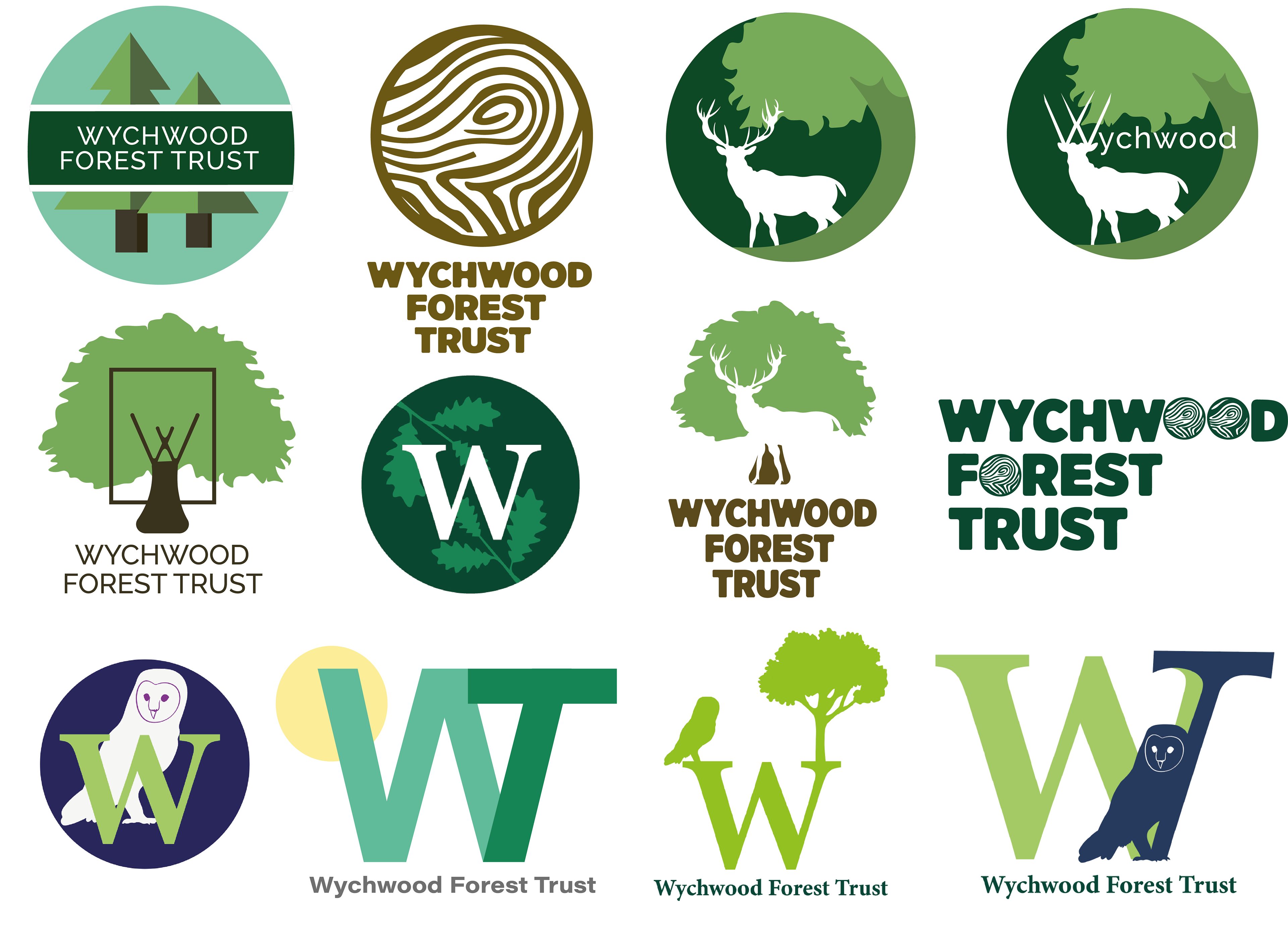 Logo options.1