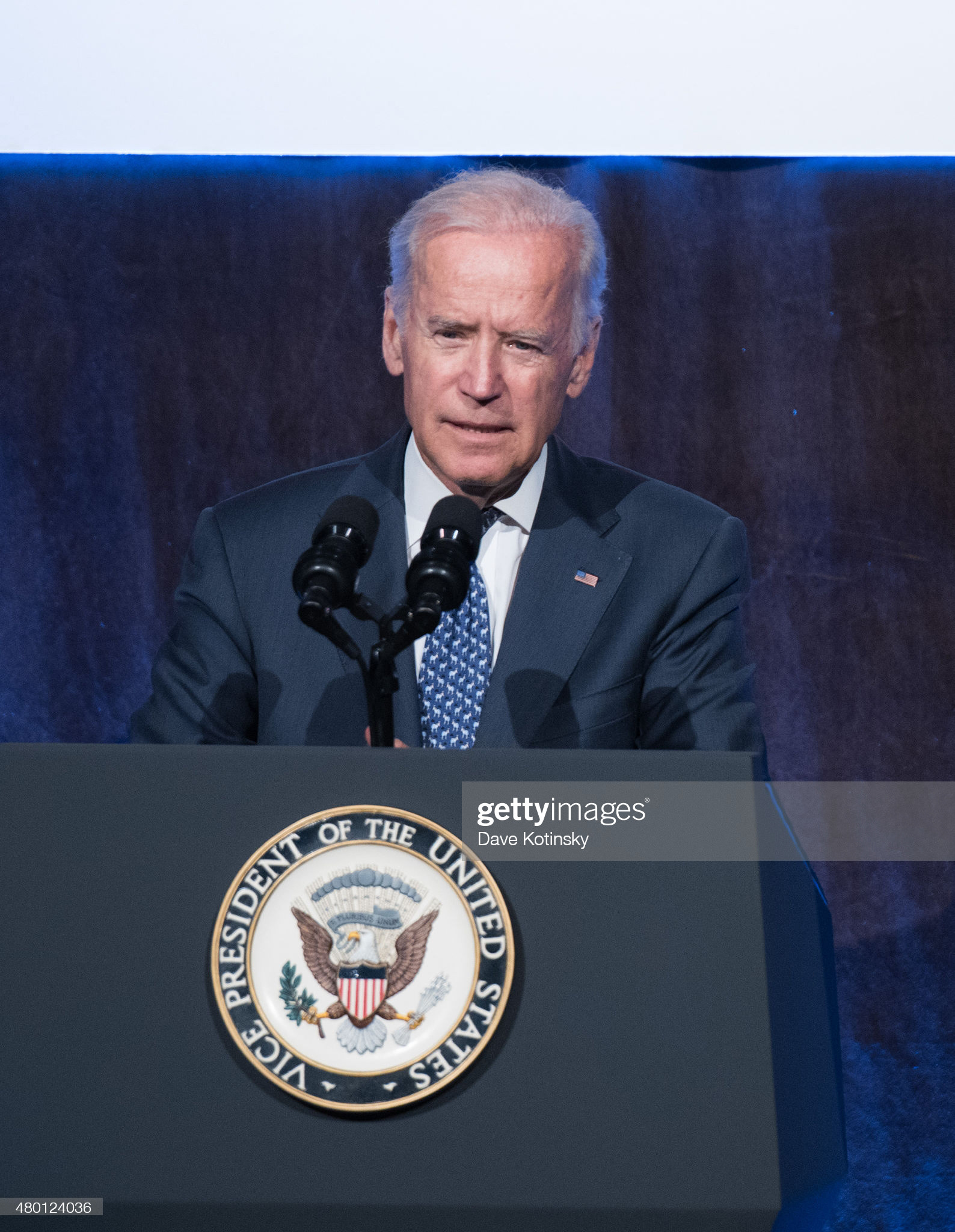 Vice President of the United States Joe Biden speaks at the "Freedom To Marry" Celebration Event at Cipriani Wall Street on July 9, 2015 in New York City. (Photo by Dave Kotinsky/Getty Images) Kotinsky/Getty Images)