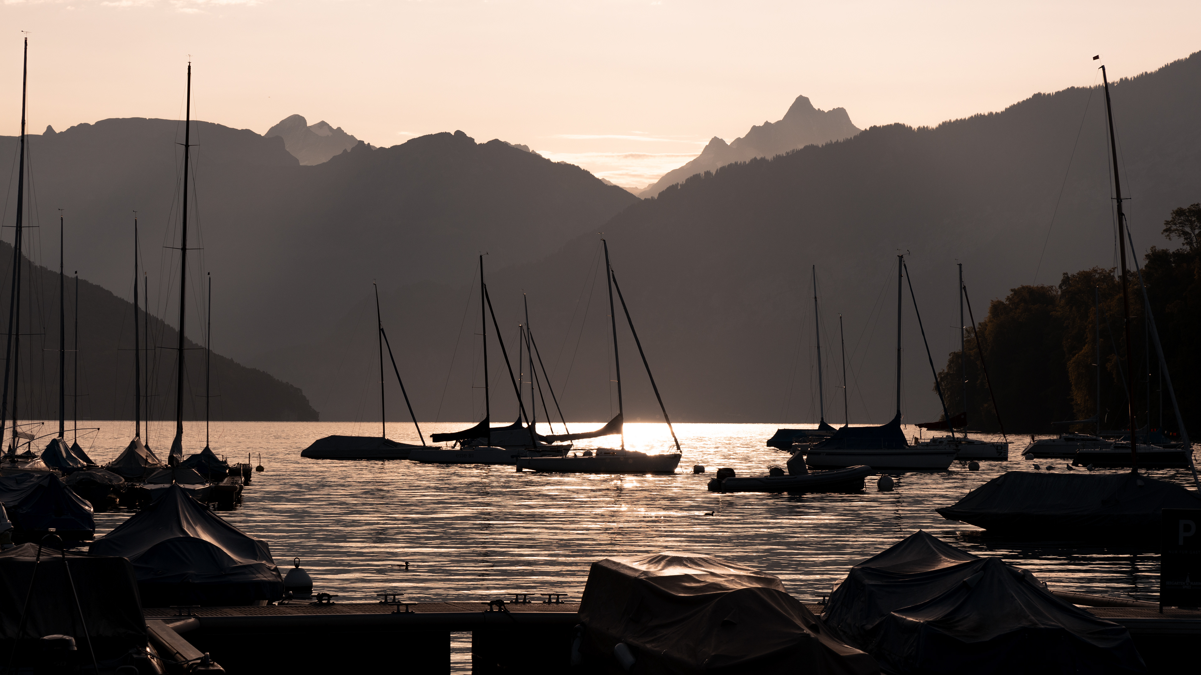 Spiez