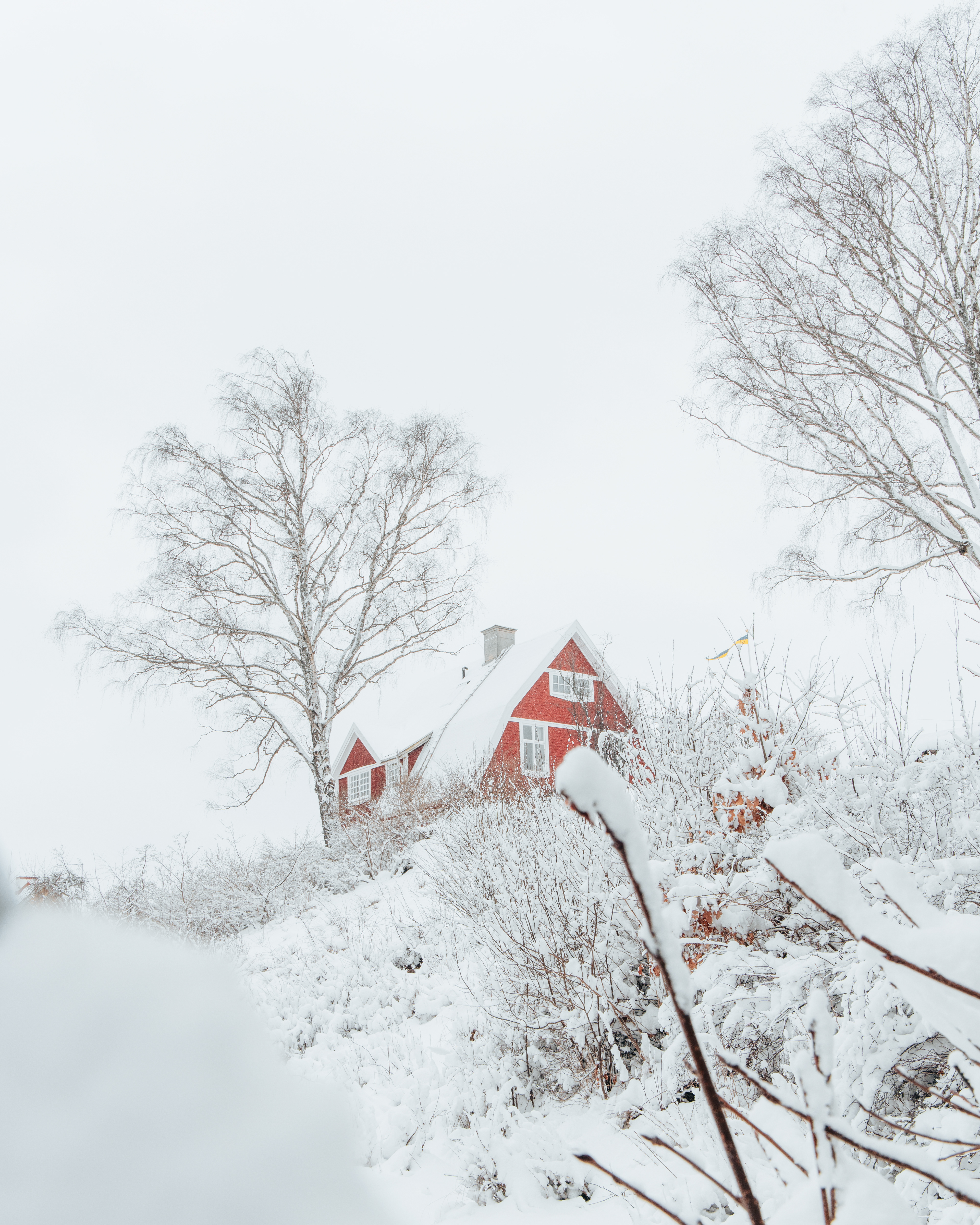 Red House, Norrviken