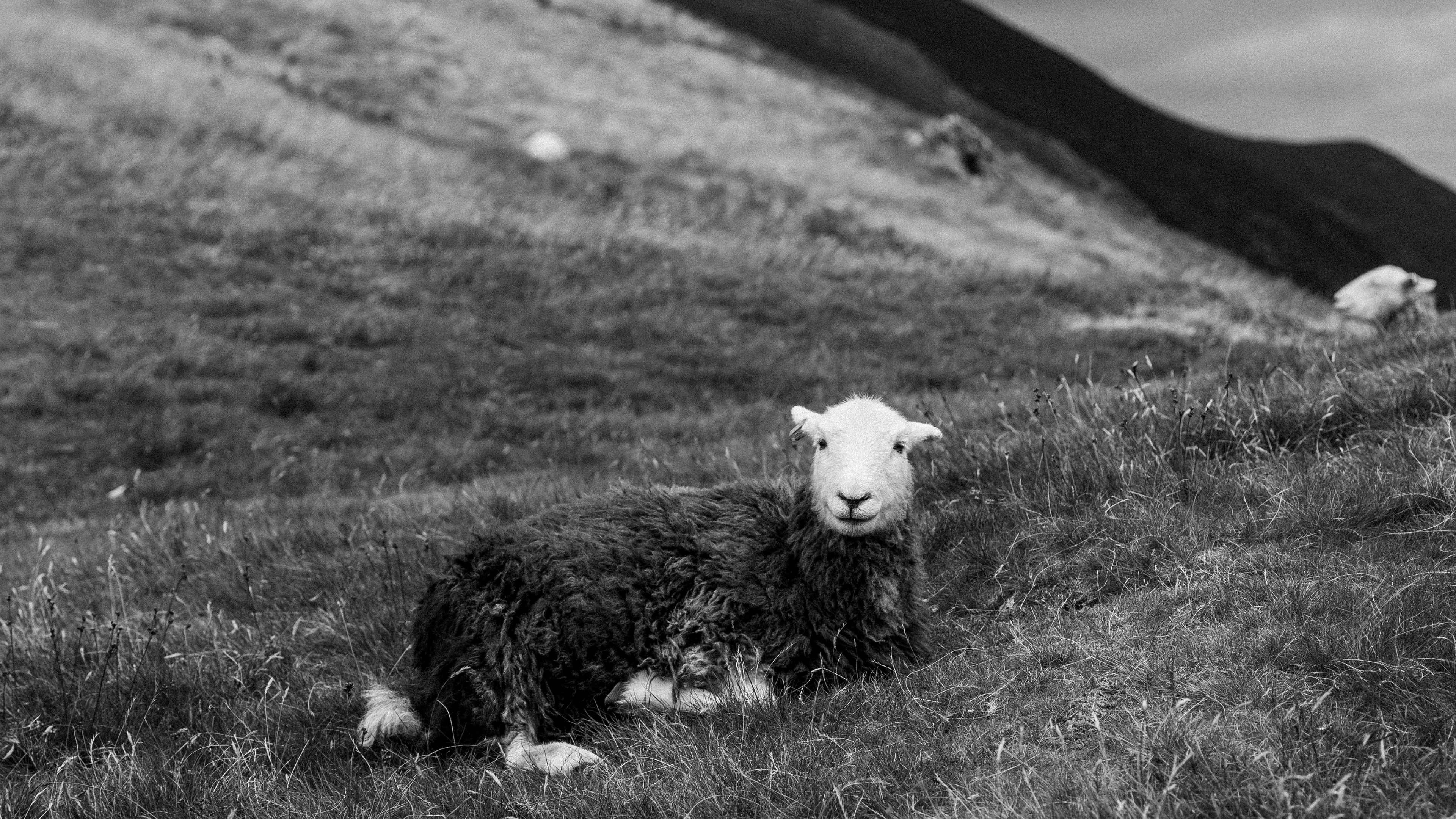 Lake District, Cumbria