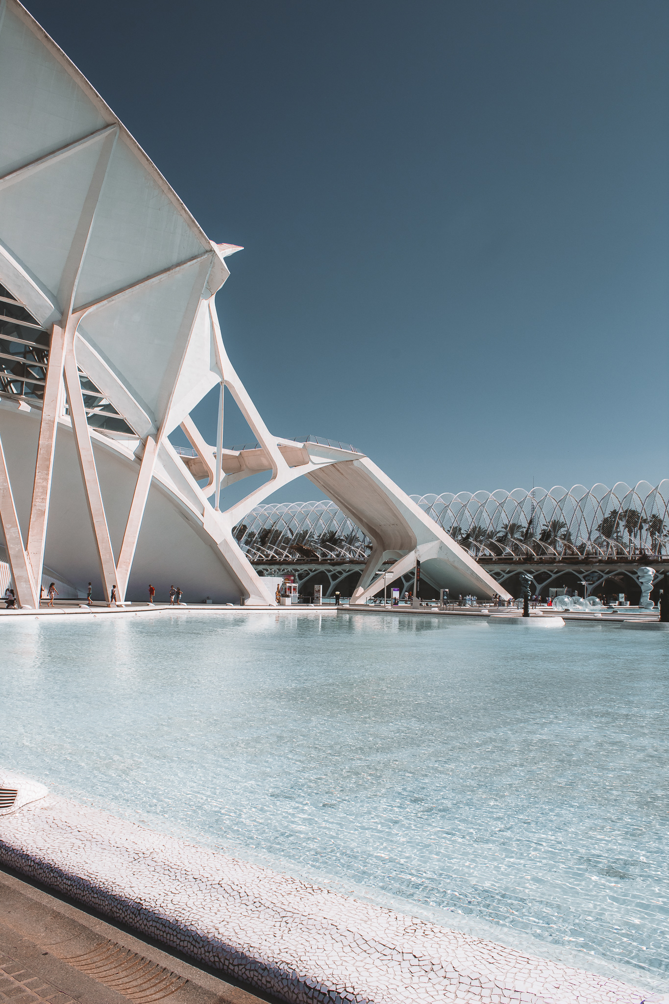  Ciudad de las Artes y las Ciencias