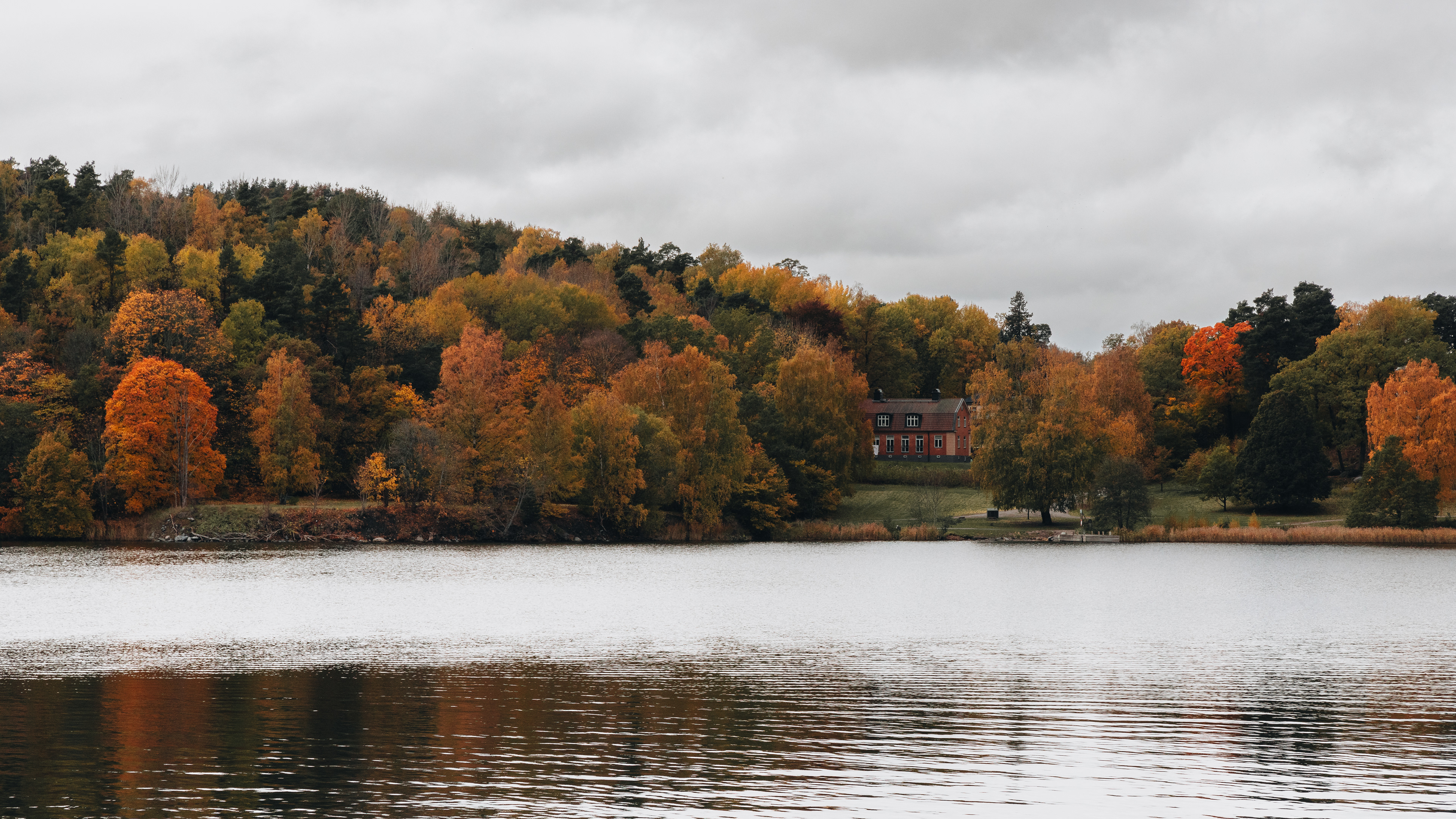 Bergianska trädgården, Stockholm