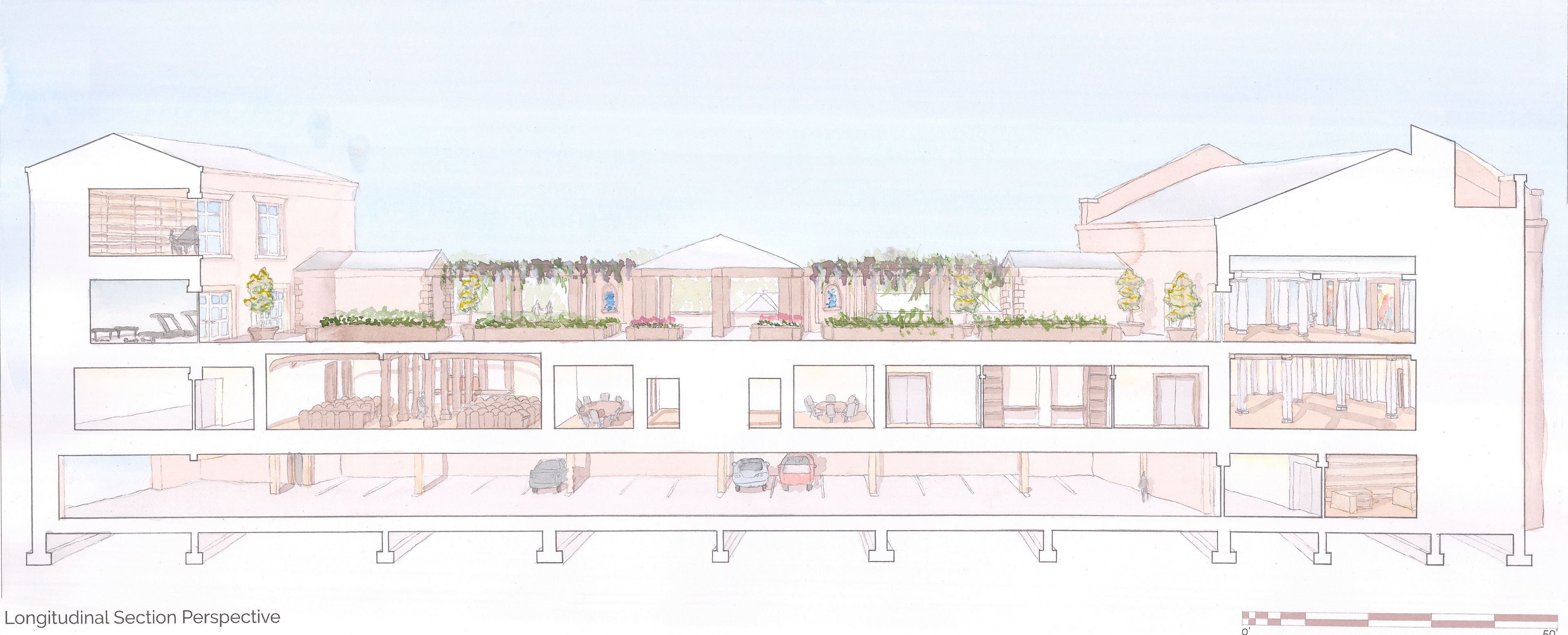 Longitudinal Section Perspective