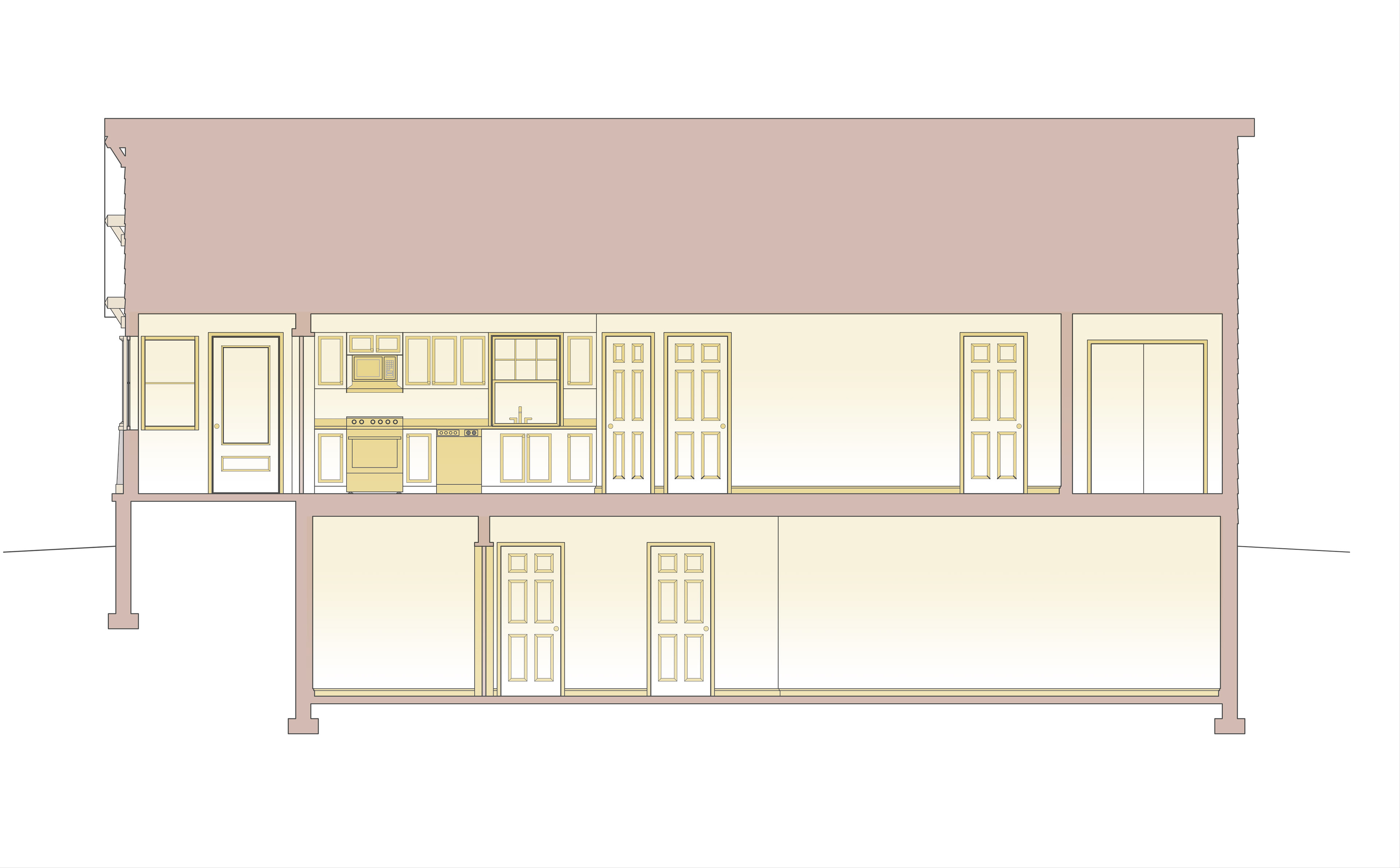 Longitudinal Section