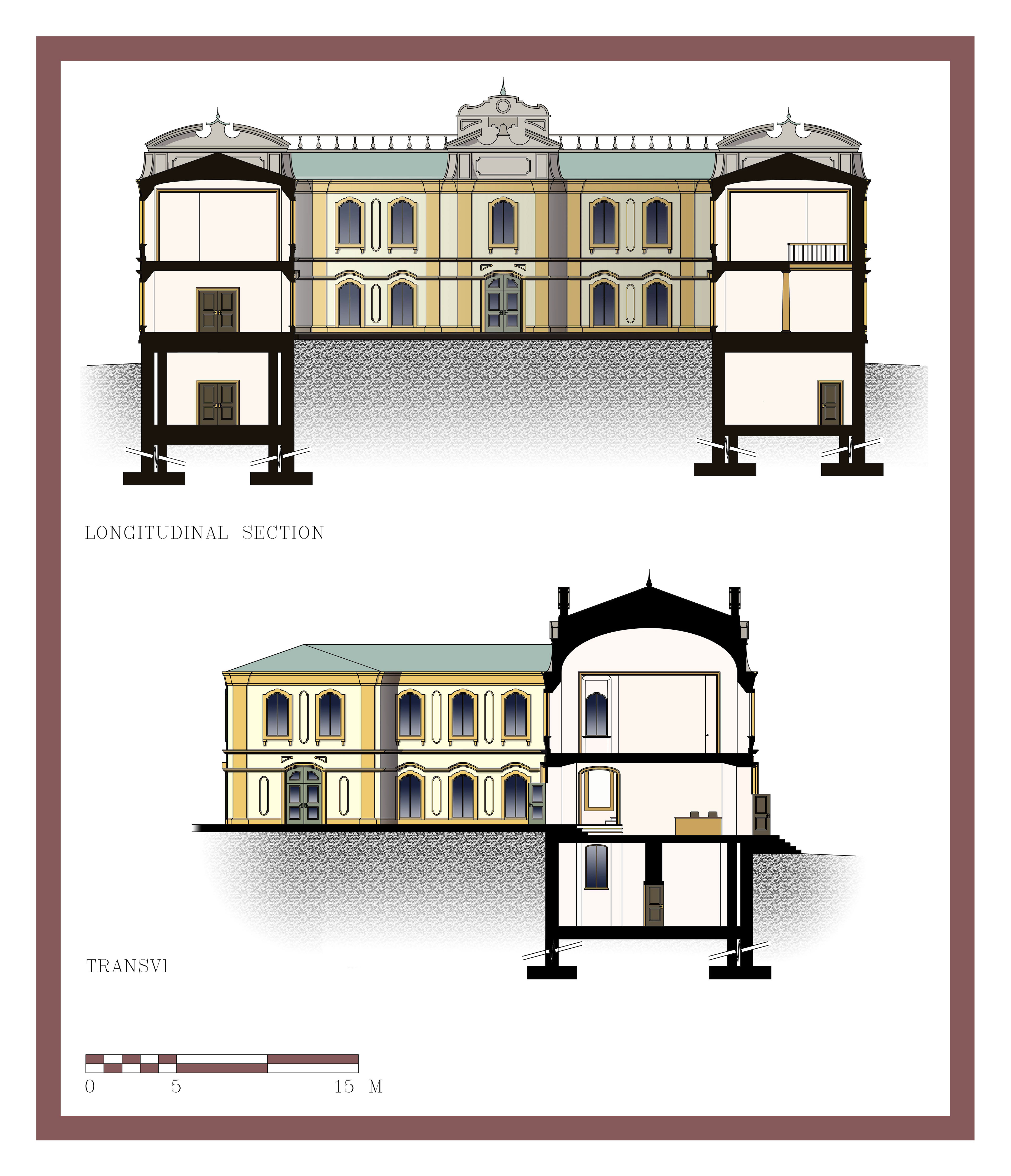 Longitudinal and Transverse Sections