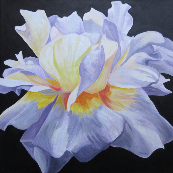 Glow, acrylic on canvas, 24 x 24 in, prints available