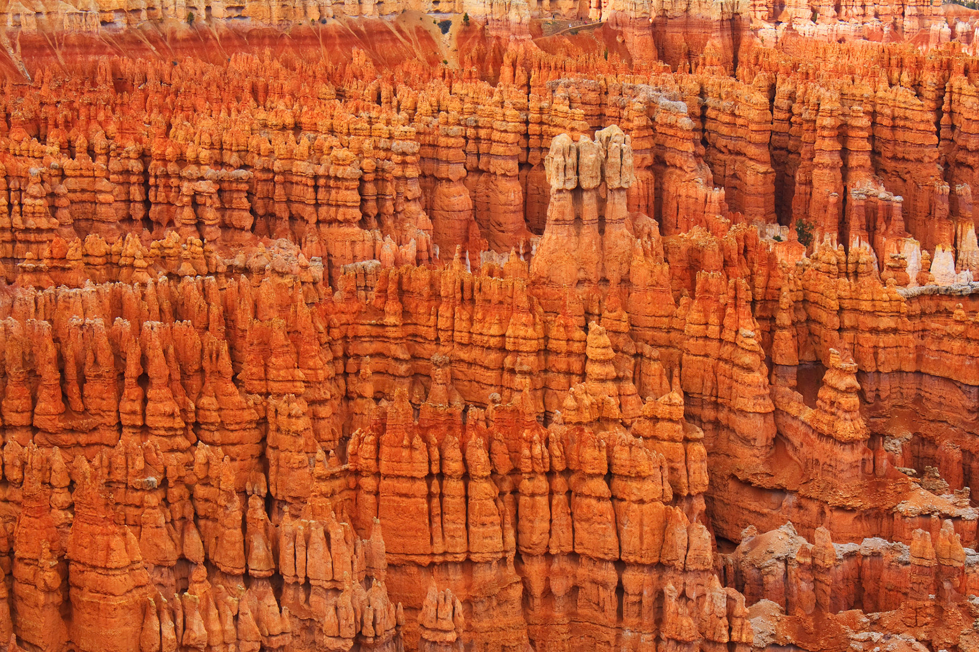 Hoodoo up close from Bryce Point, Bryce Canyon National Park, Utah