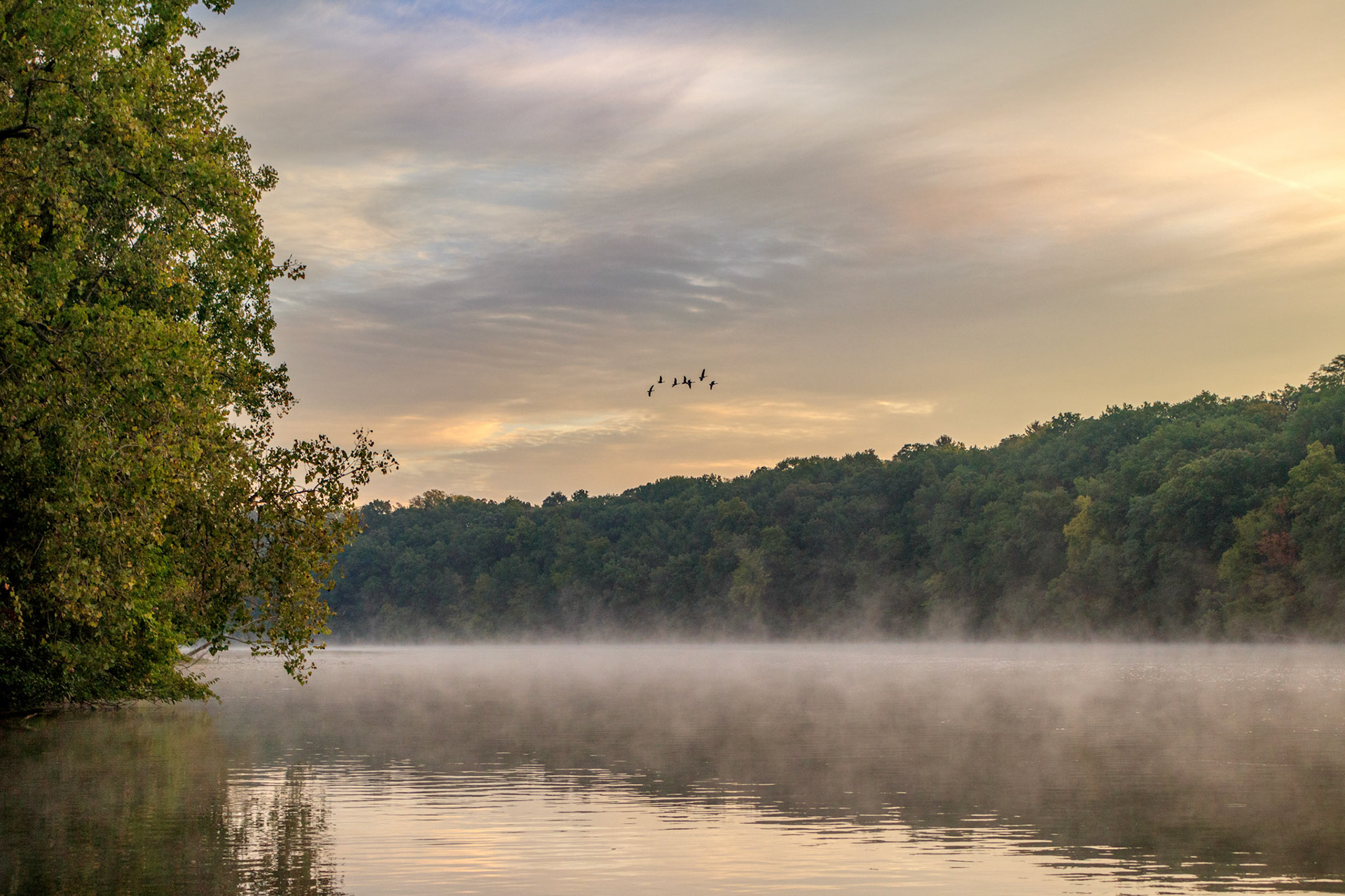 Fog on the Huron River at Bandemer Park, Ann Arbor, Michigan
