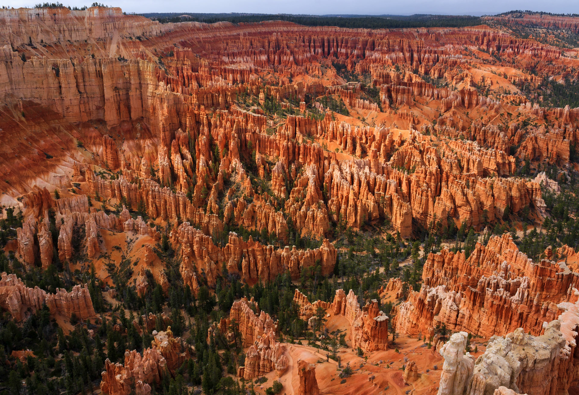 Bryce Canyon Amphitheater from Bryce Point, Bryce Canyon National Park, Utah