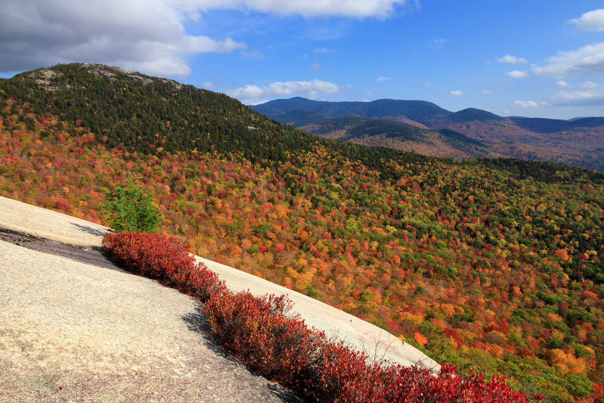Fall colors from Dickey Mountain, White Mountain National Forest, New Hampshire