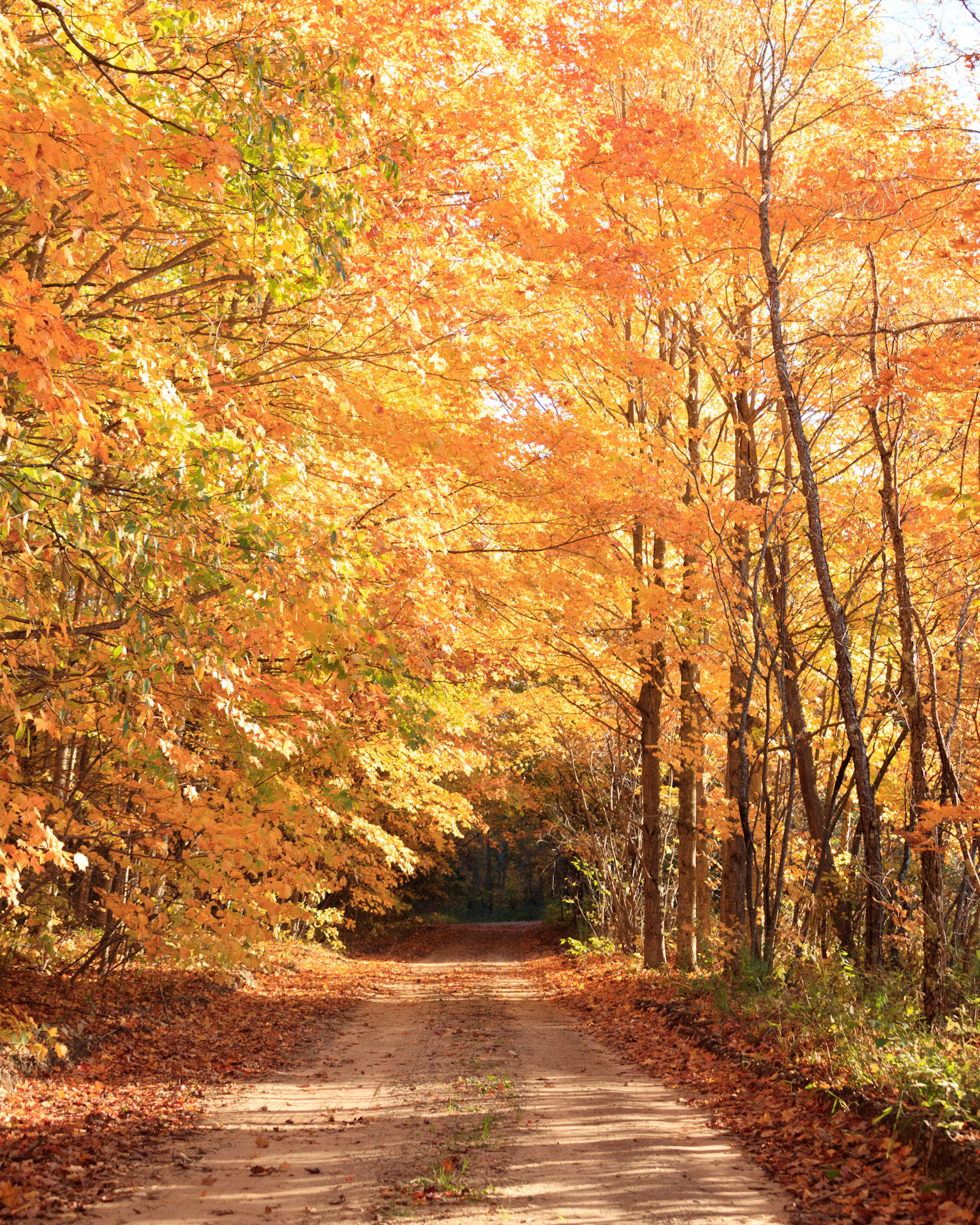 Autumn glow over Cascade Road, Antrim County, Michigan