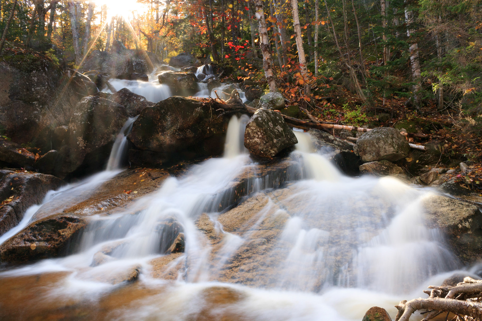 Lower Zealand Falls, White Mountain National Forest, New Hampshire