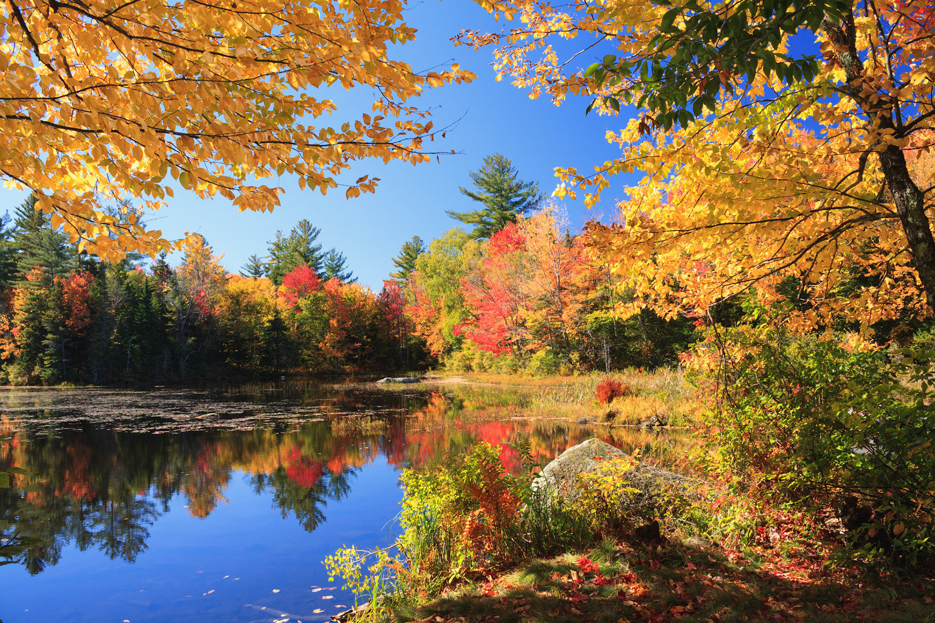 Fall colors at Lefferts Pond, Green Mountain National Forest, Vermont