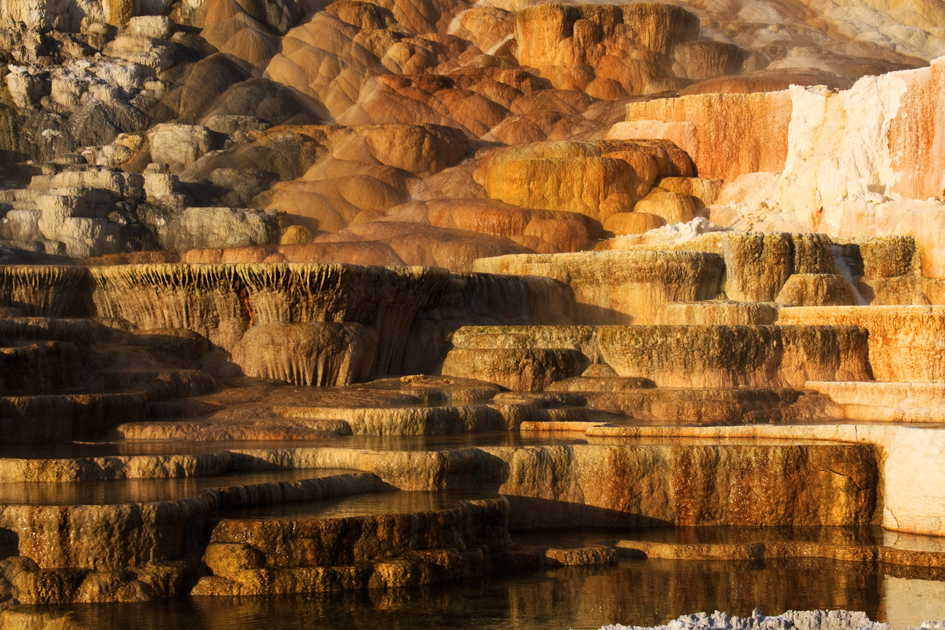 Mammoth Hot Springs, Yellowstone National Park, WY