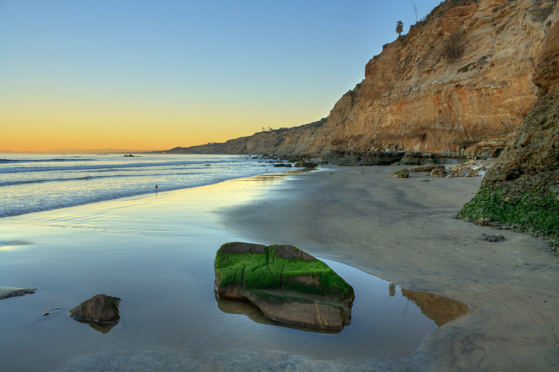 Torrey Pines State Beach, La Jolla, California