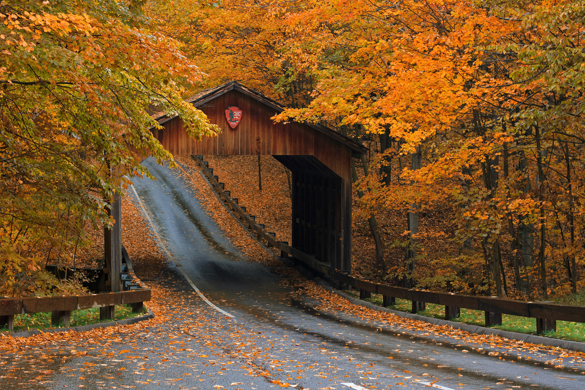 Fall colors surround the covered bridge on Pierce Stocking Drive, Sleeping Bear Dunes National Lakeshore, Michigan