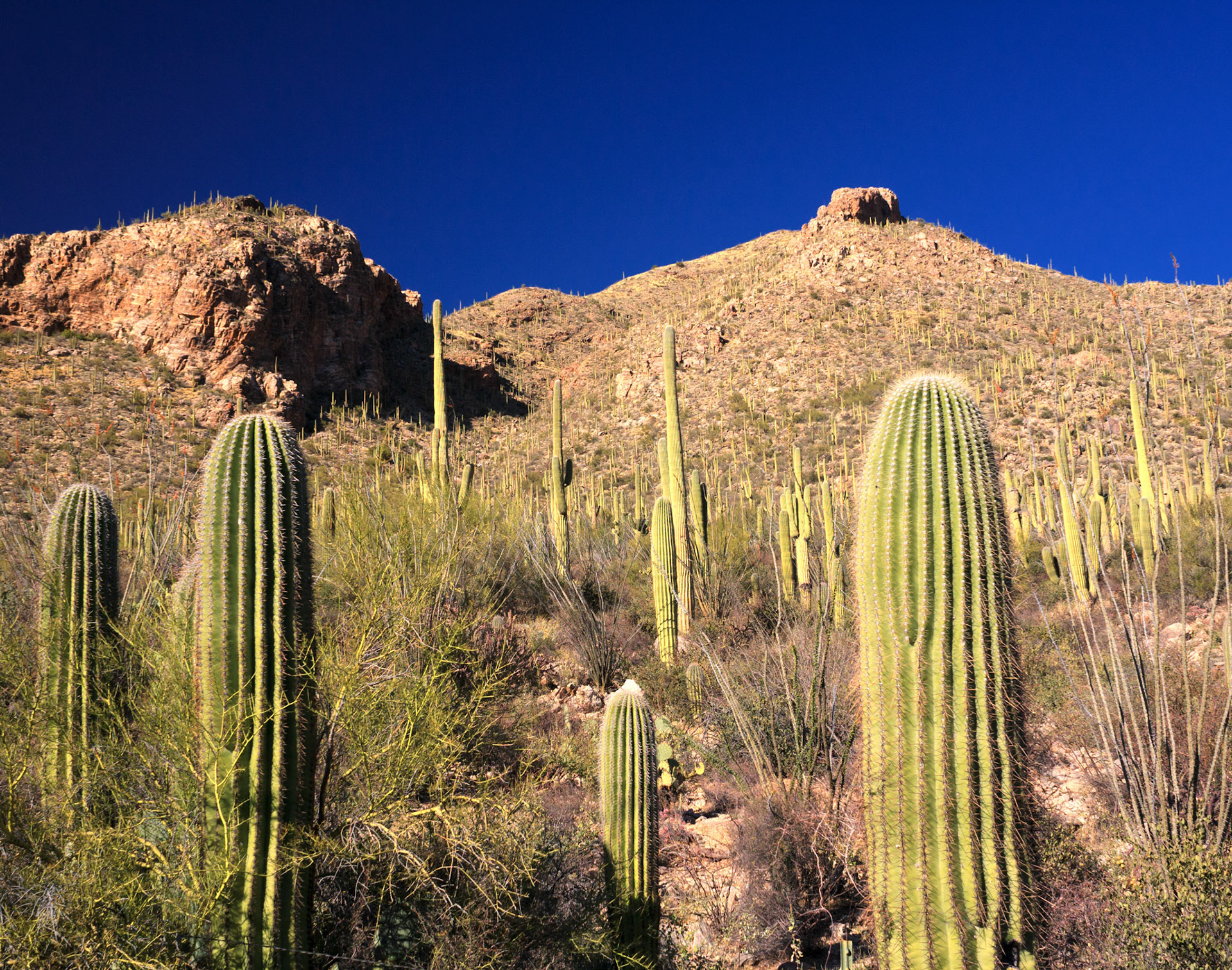 Pima Canyon, Tucson, Arizona