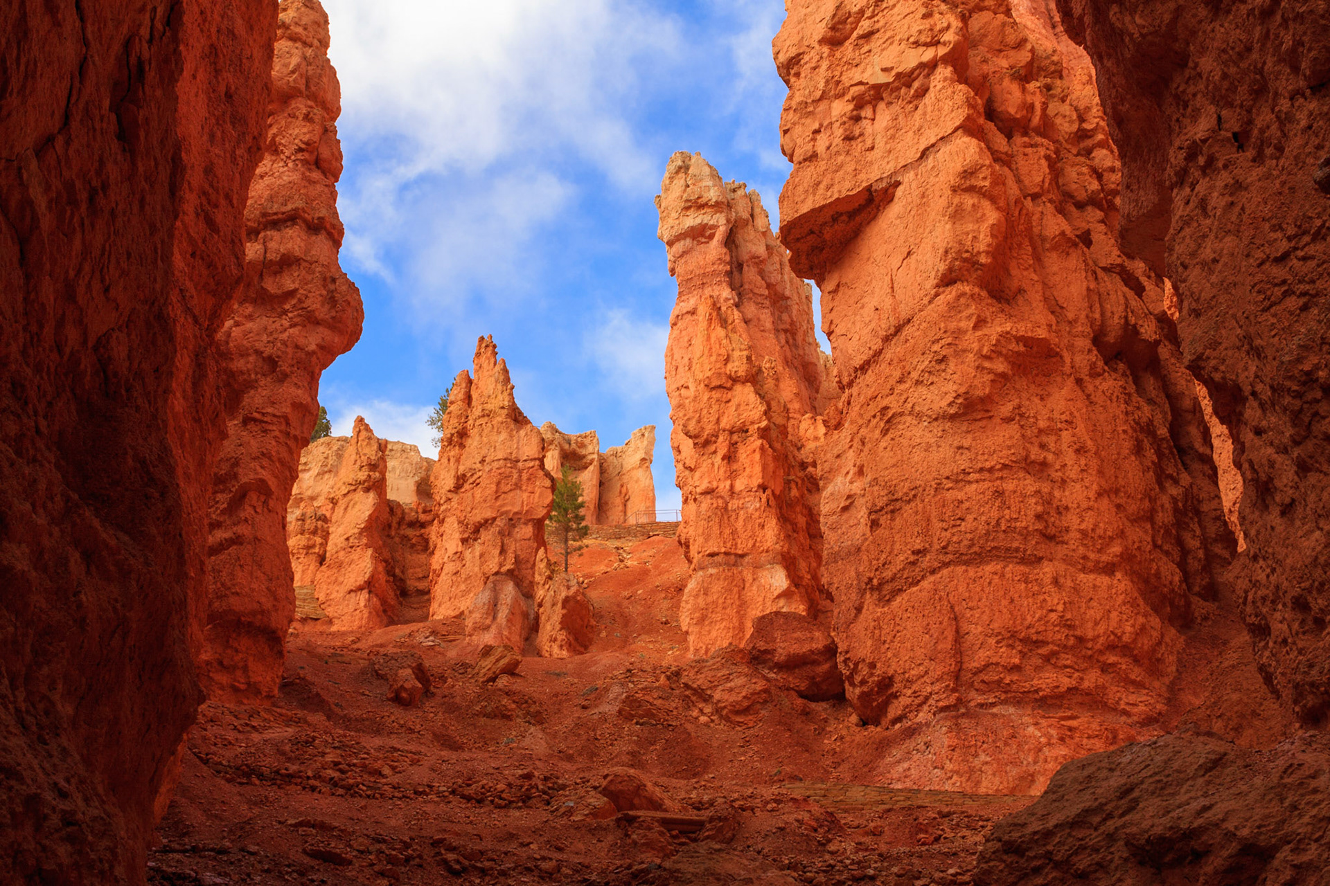 Sarah hiking among the Hoodoo on the Navajo Loop Trail, Bryce Canyon National Park, Utah