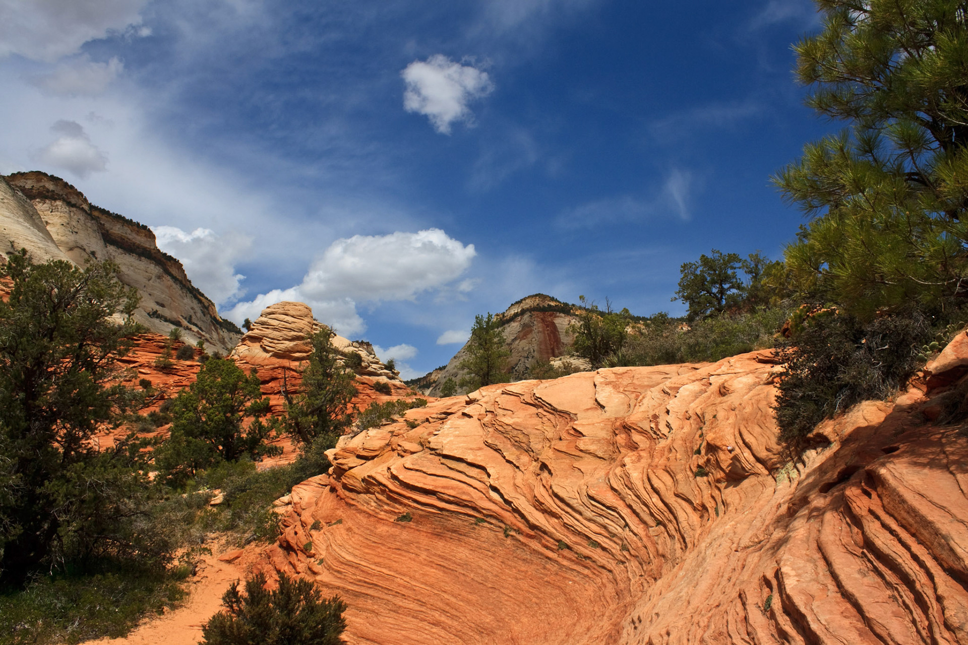 East Side of Zion Natonal Park, Utah