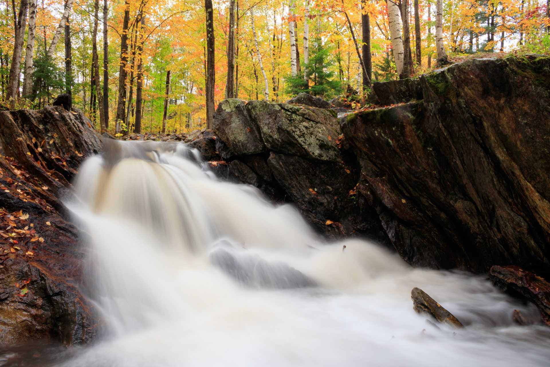 Autumn at Kent Brook Falls after a storm, Killington, Vermont