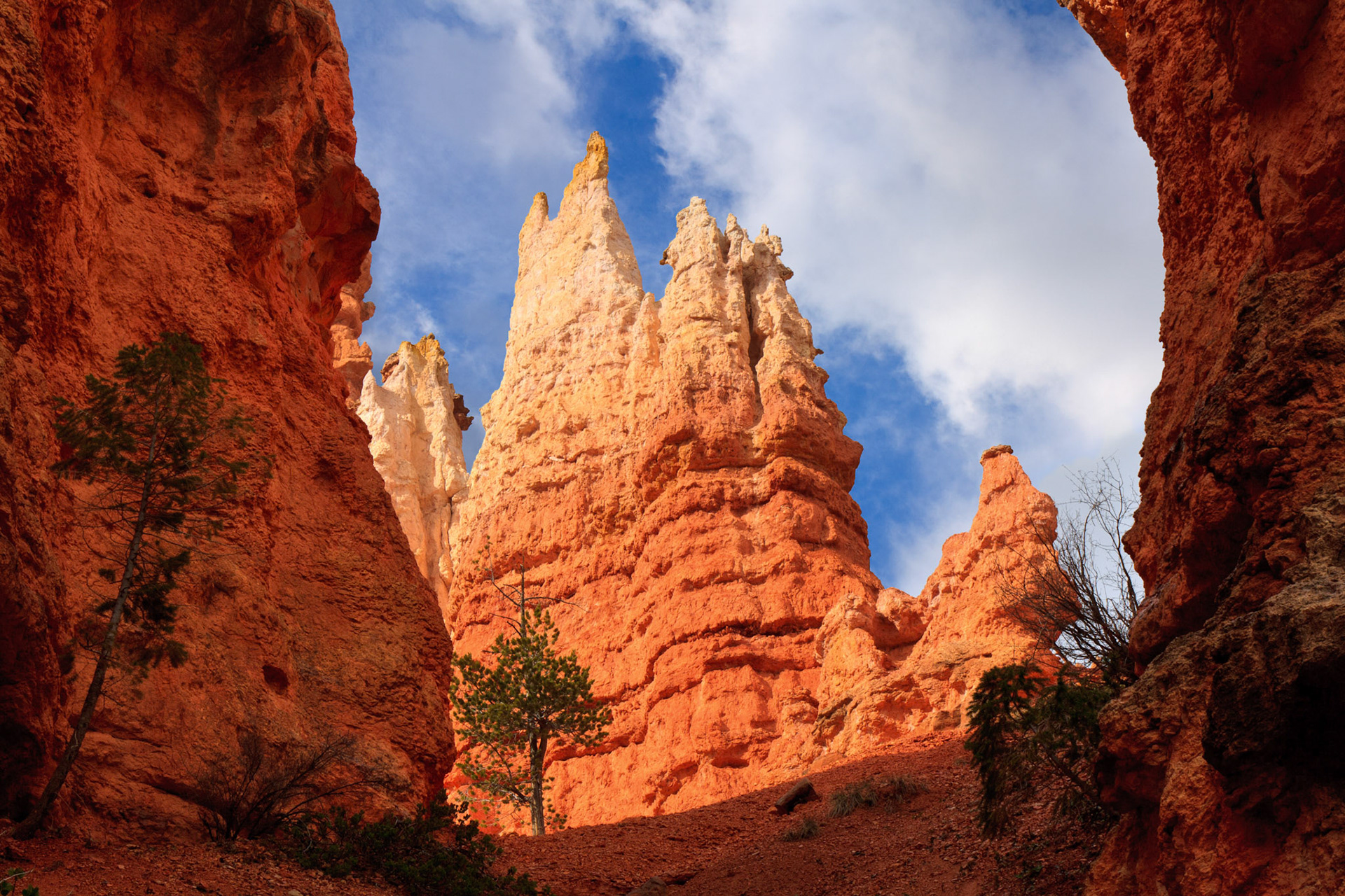Hoodoo Spire, Navajo Loop Trail, Bryce Canyon National Park, Utah