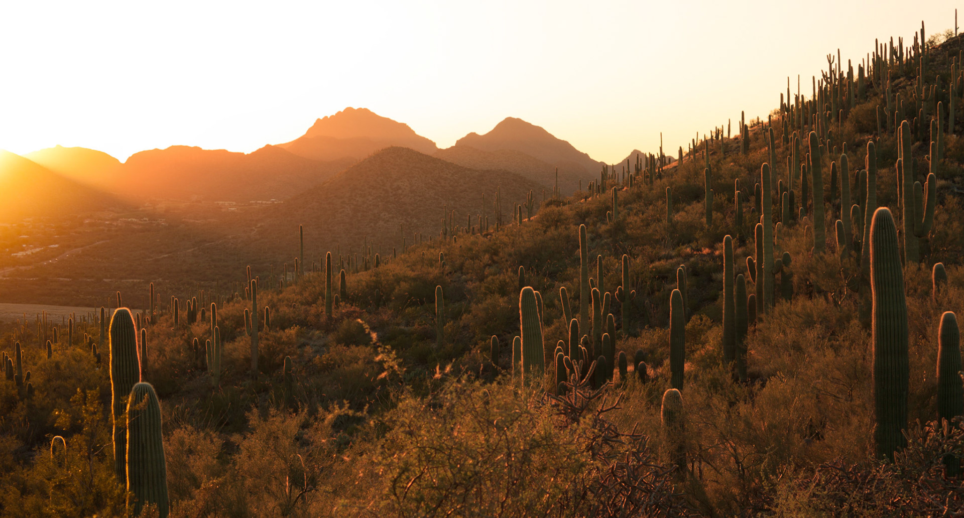 Sunset on the Tucson Mountains from Menlo Park, Tucson, Arizona