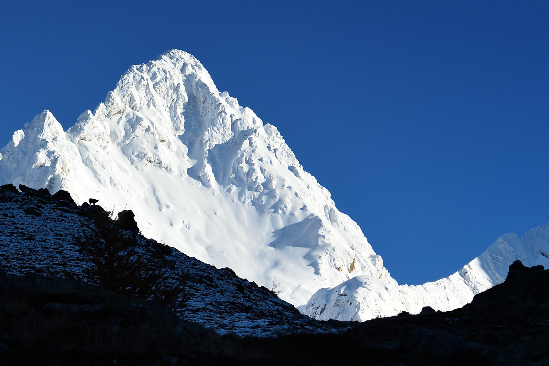 Regard sur la montagne