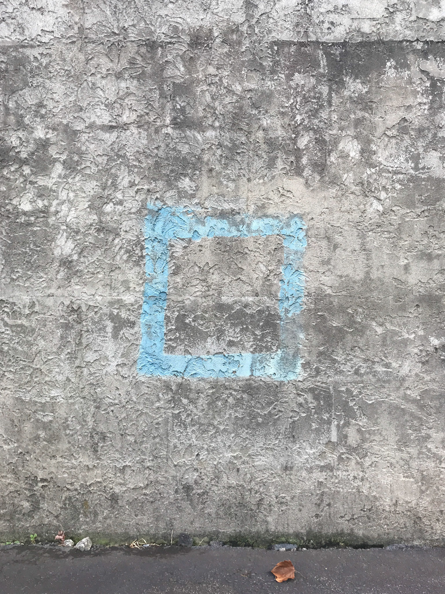 Blue Square with Leaf