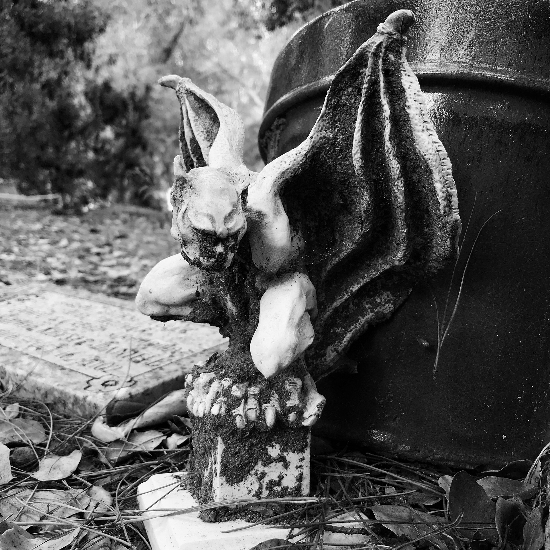 Gargoyle Guarding Chaos