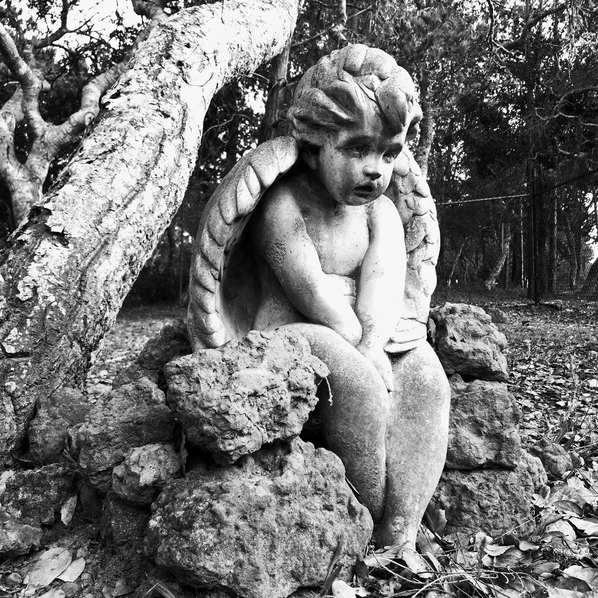 Sorrowful Cherub