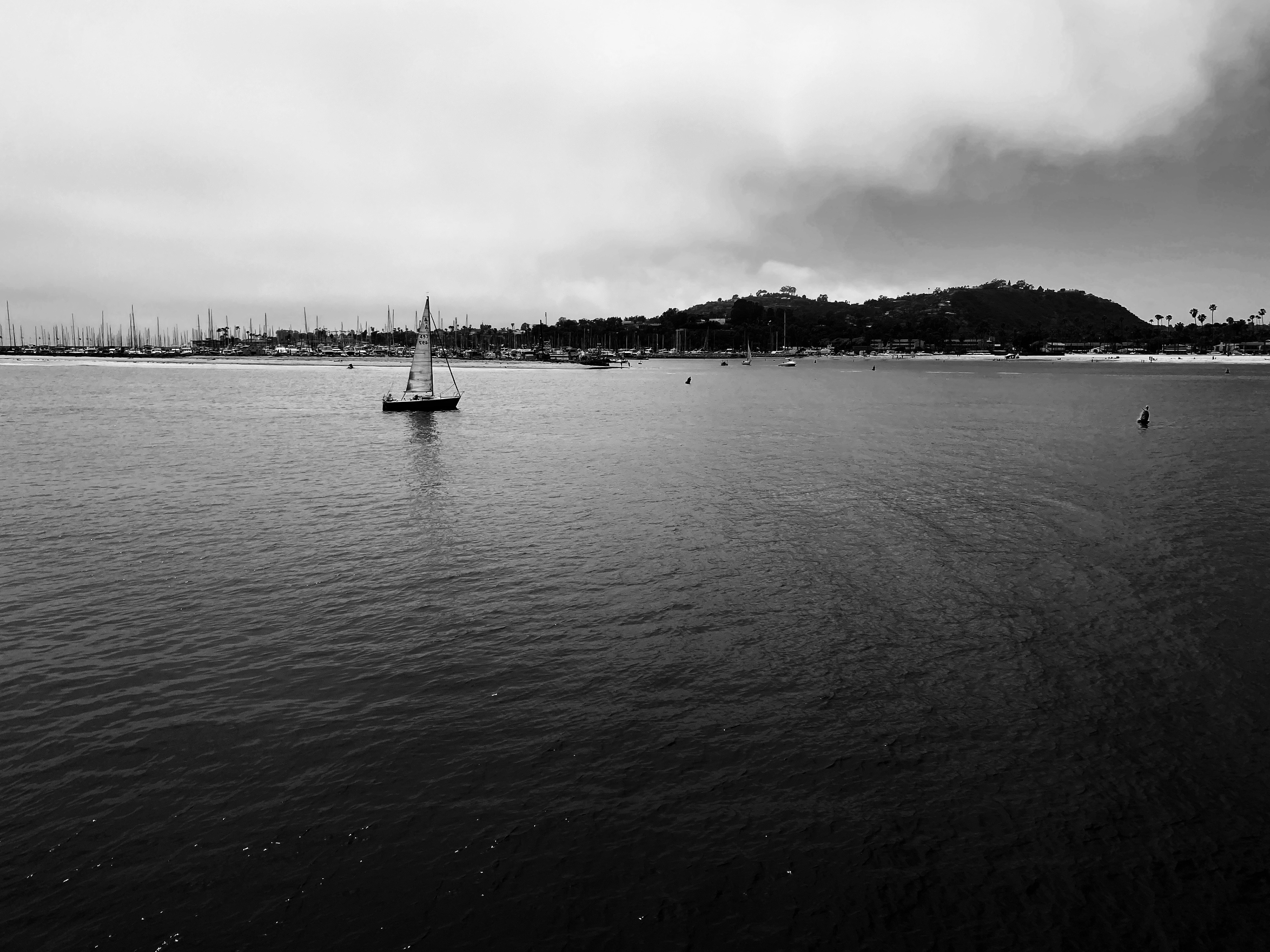 Santa Barbara, CA - The Wharf and Seaside Harbor