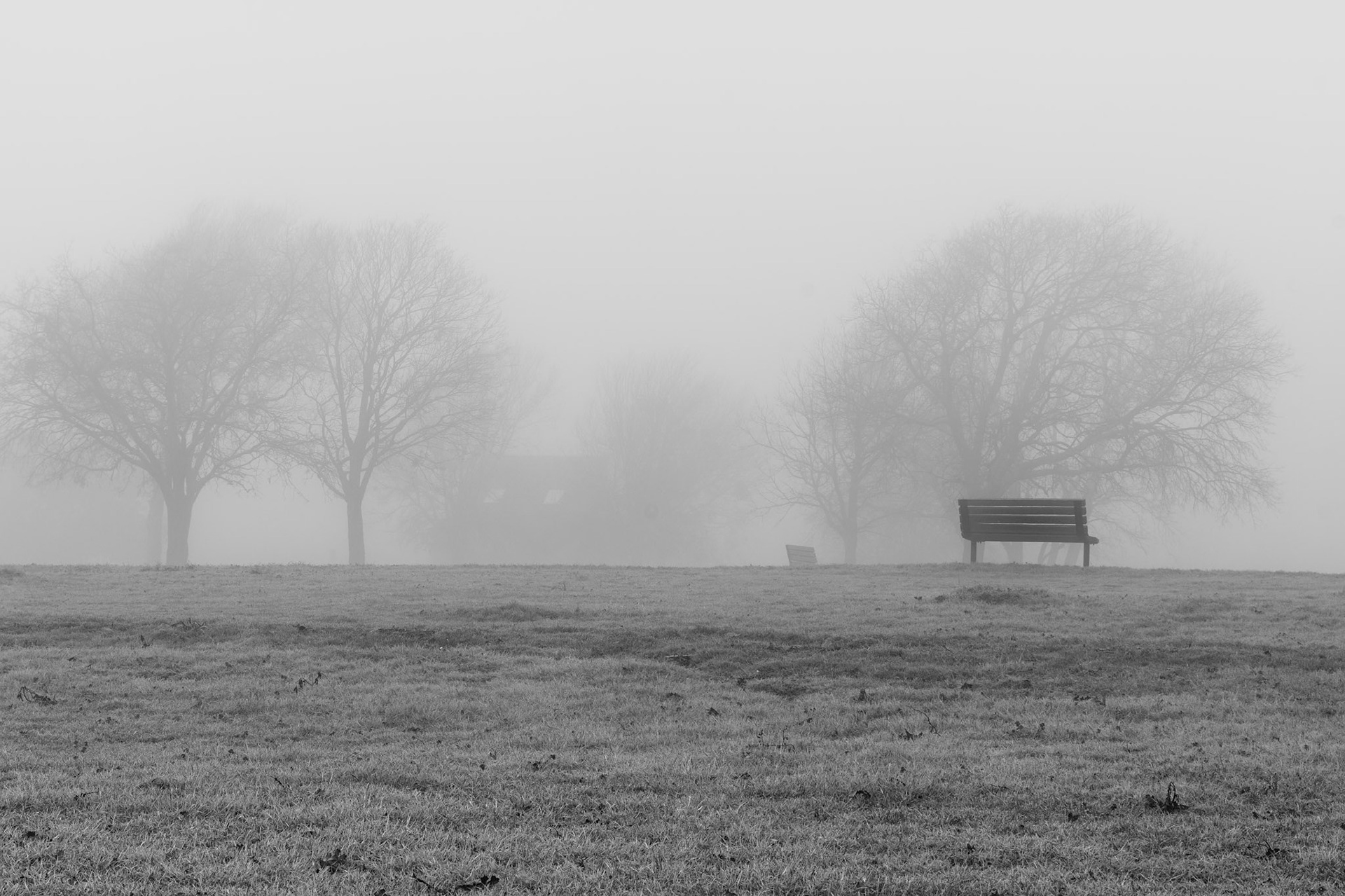 Foggy Valley View 1883