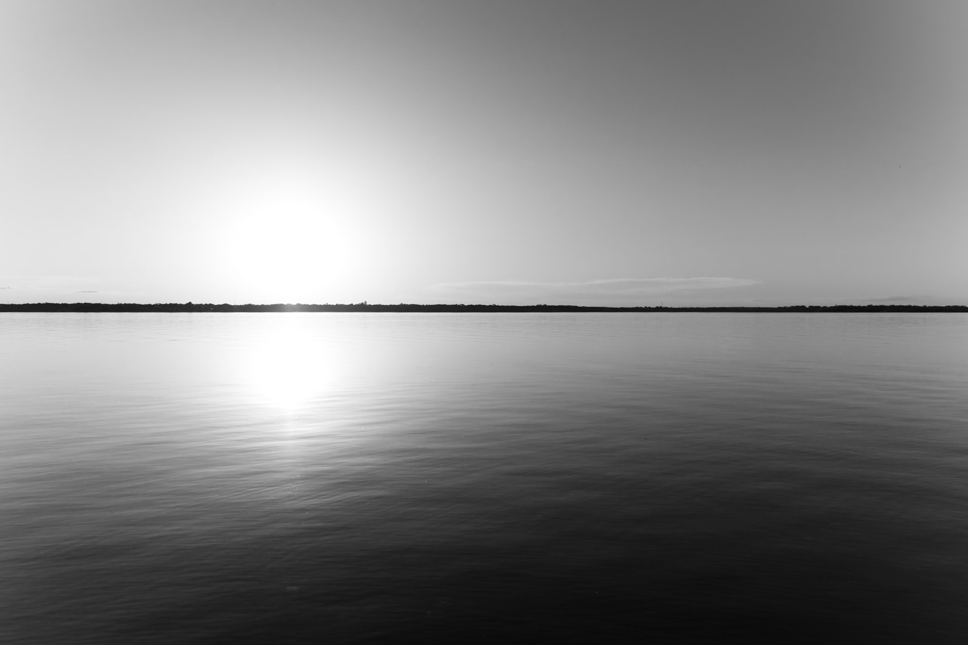 Oak Point BW 7726