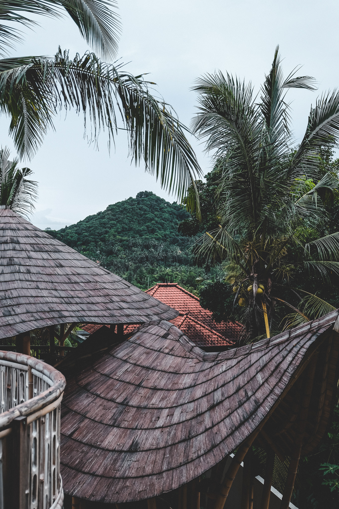 Bali. 2023