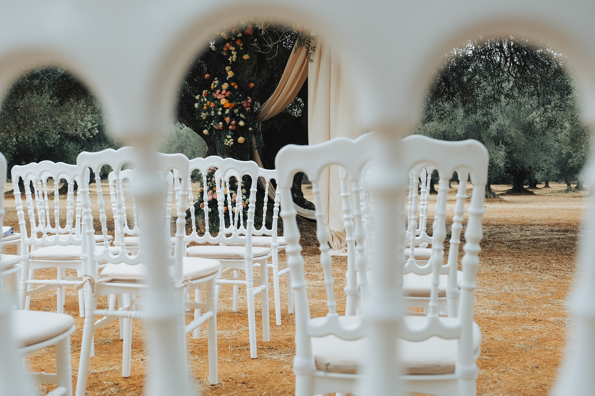 outdoor olive tree wedding in Greece. 2021