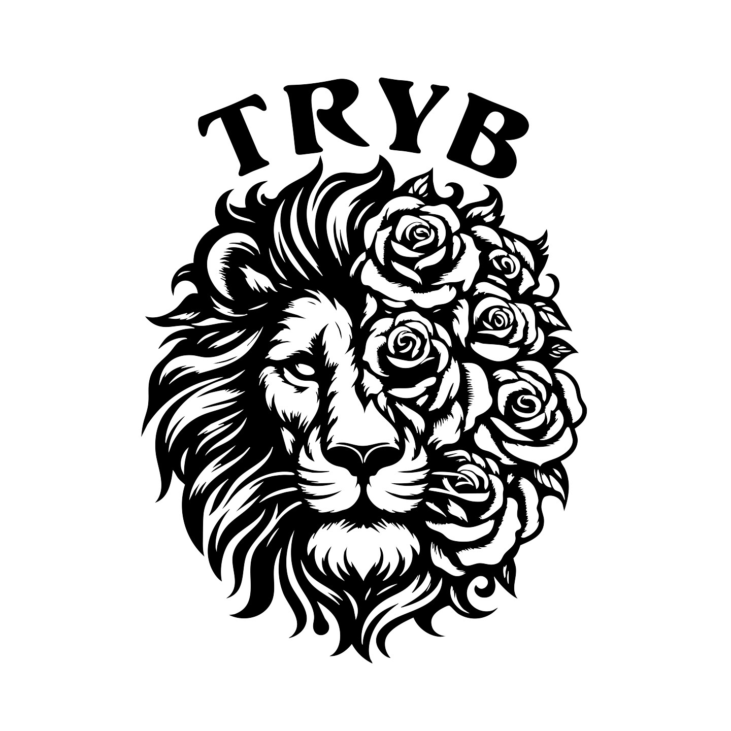 Store Brand Logo - TRYB