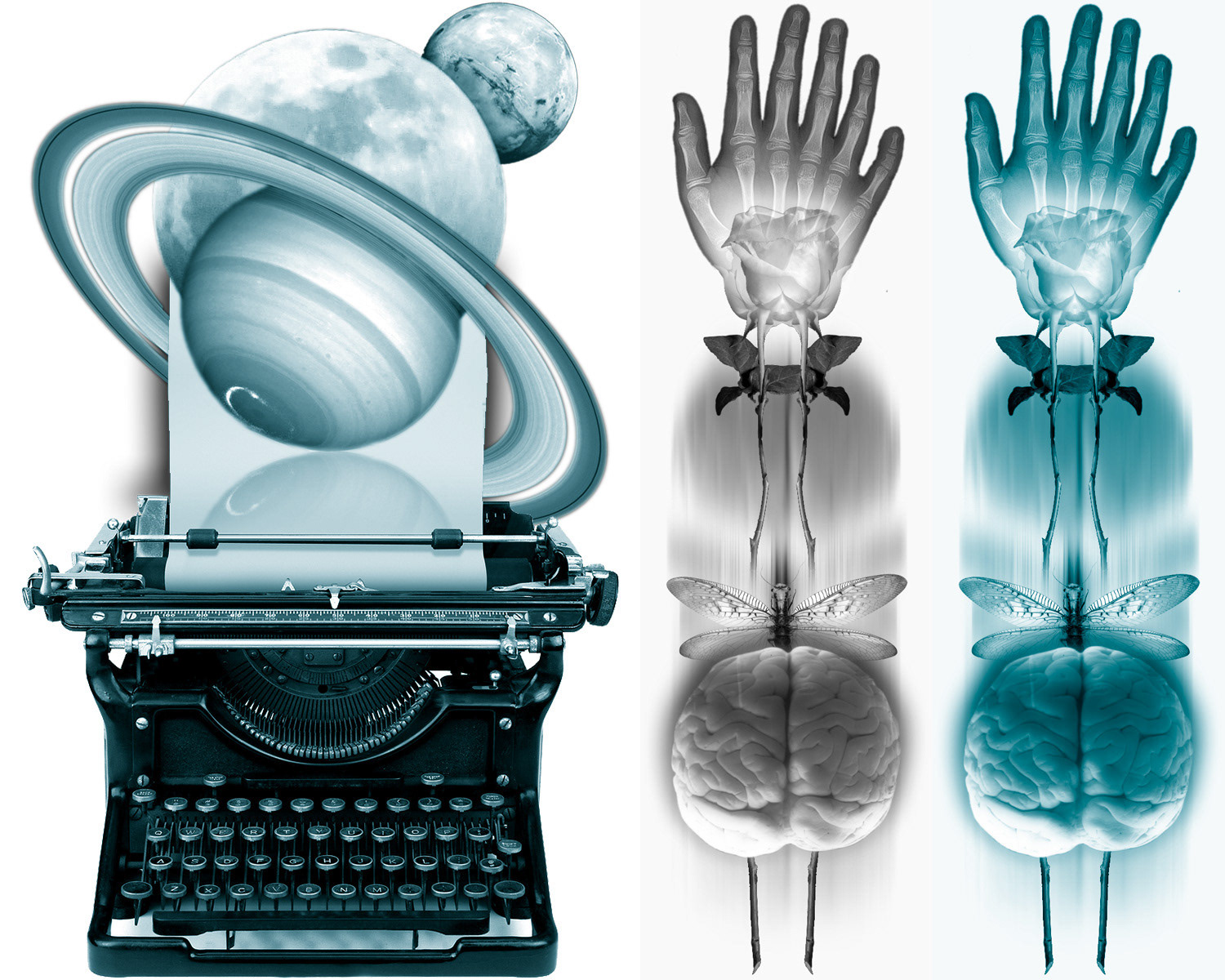 Fringe concept graphics for UFOteacher.com (2011)