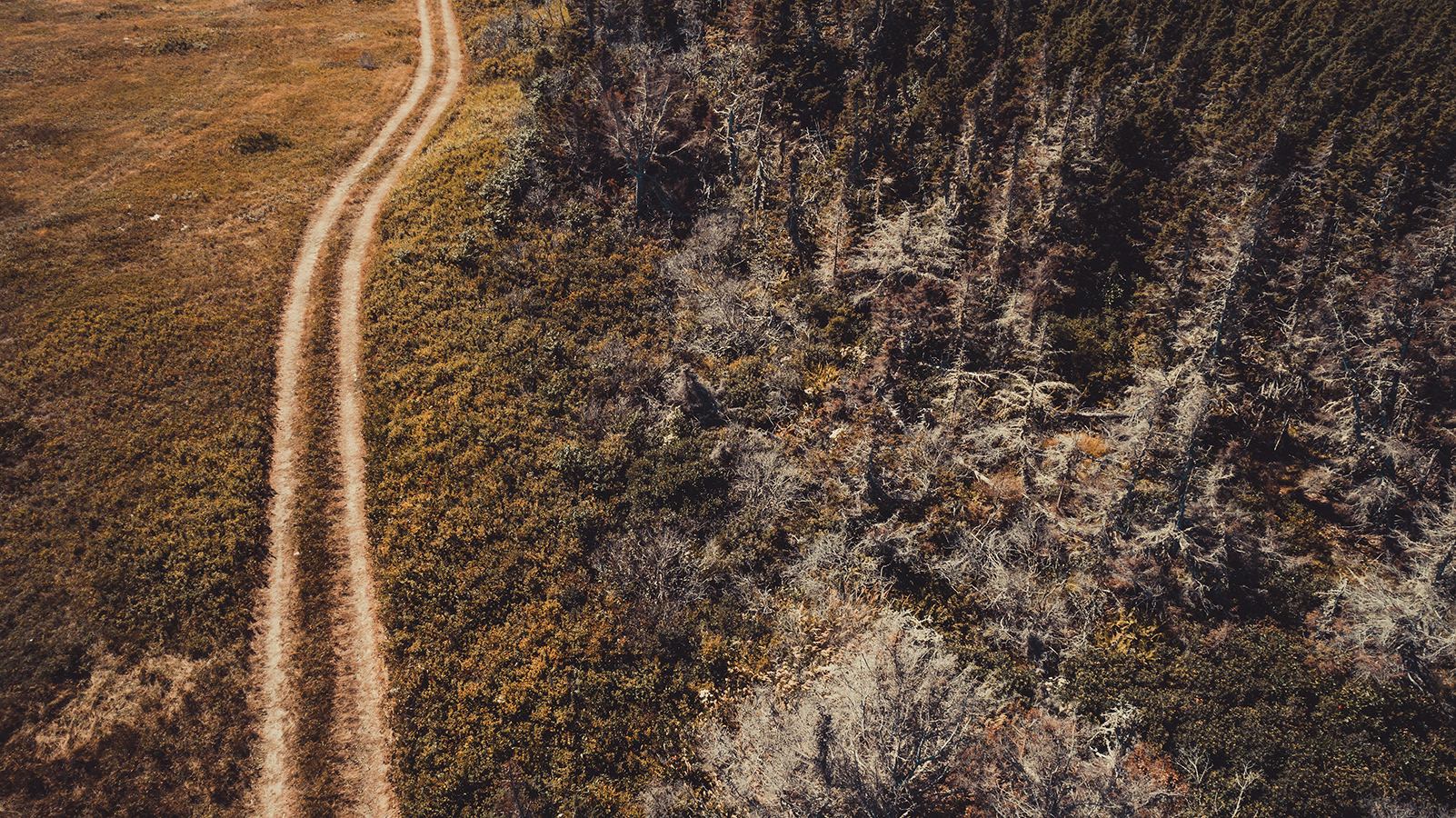 Esquisse sur route no. 16