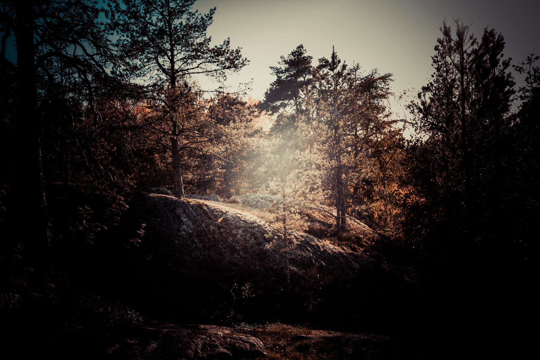 Pays du Nord no. 40, 2019 | 24x36po. | Édition 001/003 + 1 E.A. | Encadré, verre standard | 1750 $