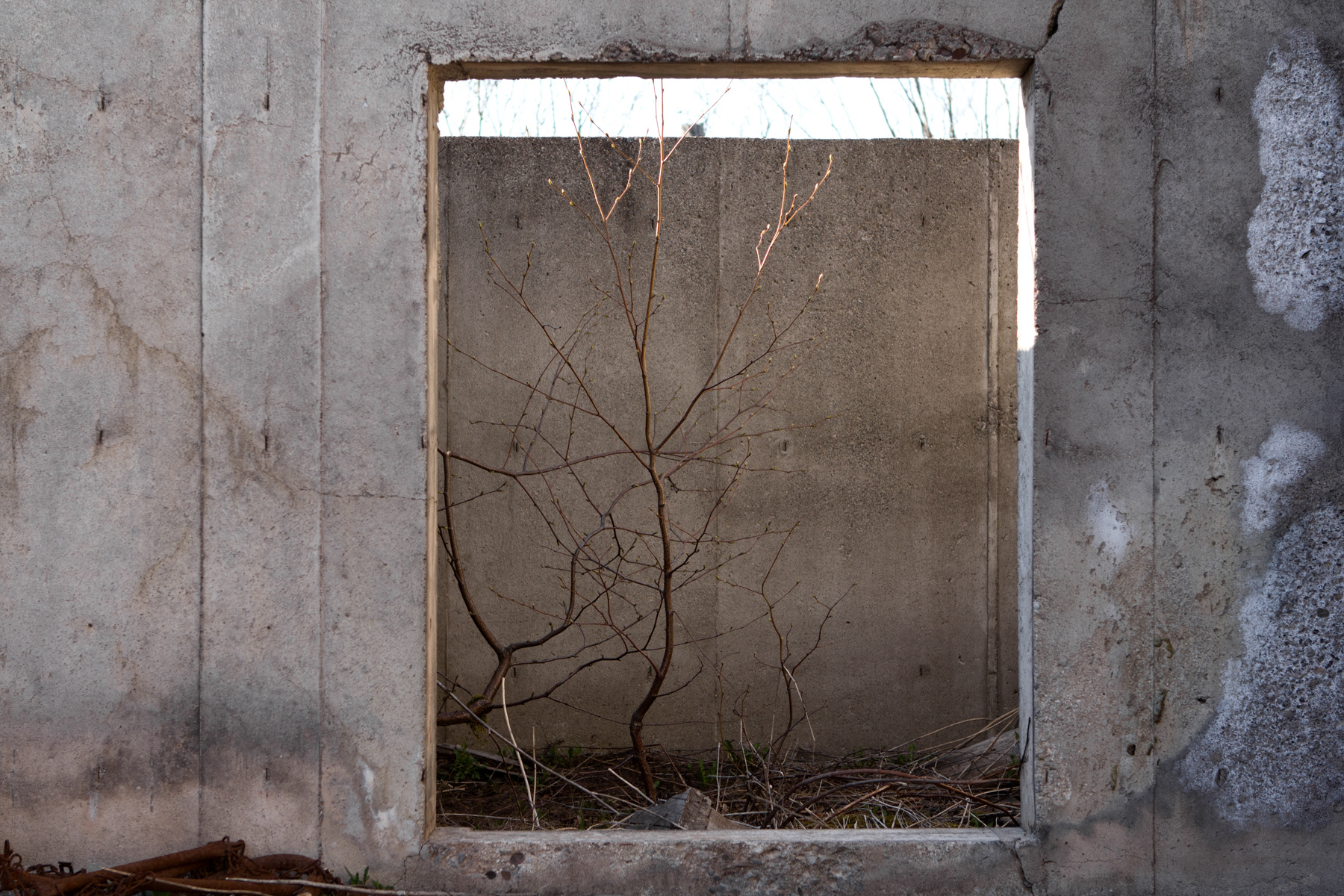 Chemin Normandie no. 06, New Carliste, Gaspésie human less II, 2011 | 16x24po. | Édition 001/005 + 1 E.A. | Encadré, verre standard | 1500 $